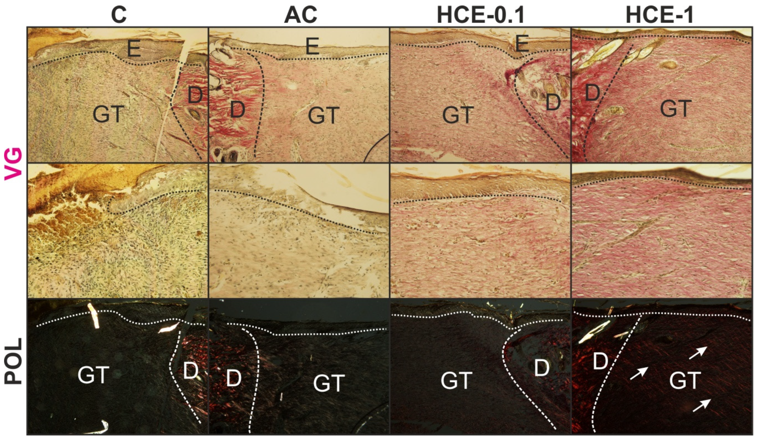 Molecules 25 01917 g008 Molecules 25 01917 g008