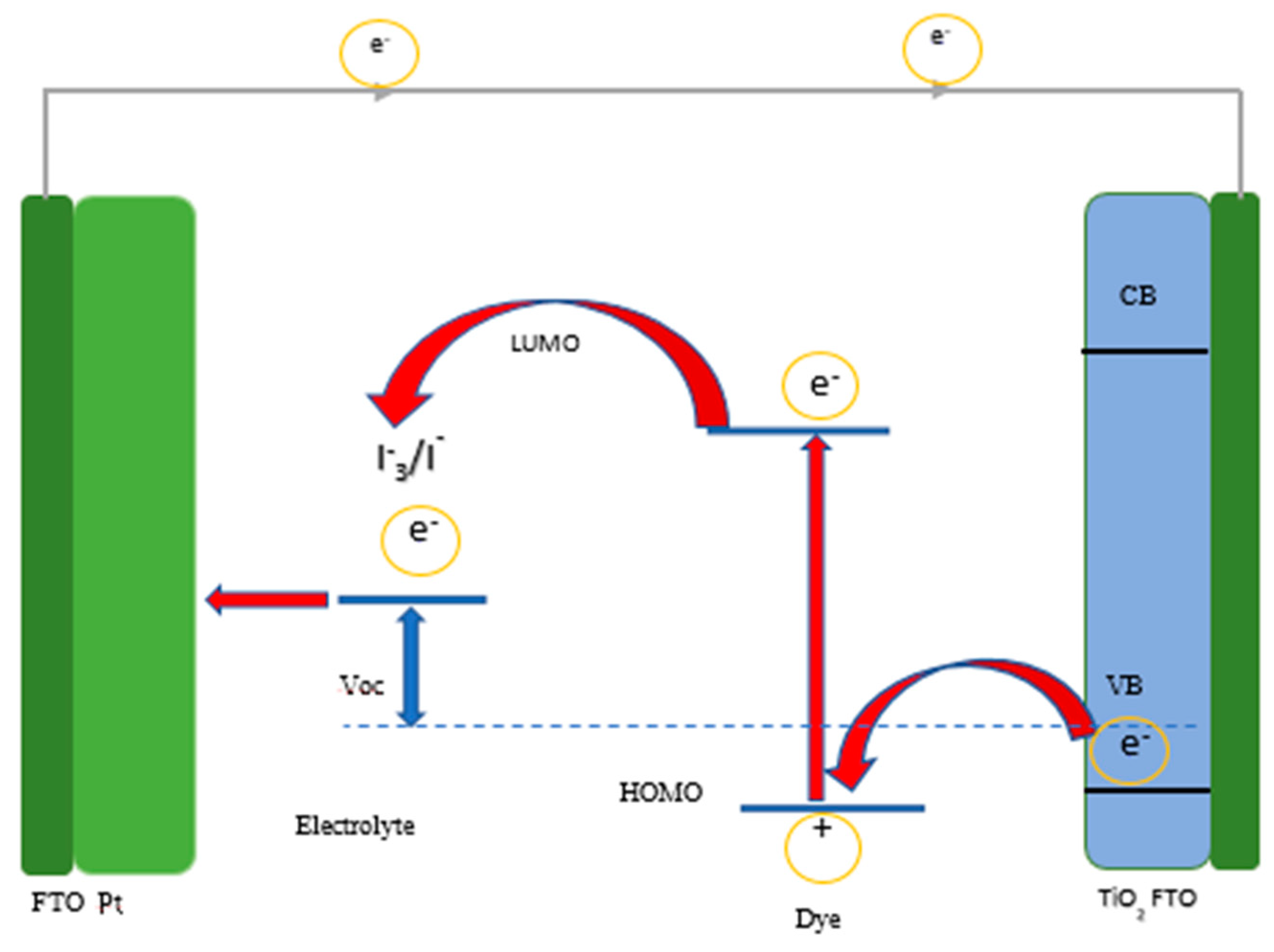 Molecules 25 01919 g001 Molecules 25 01919 g001