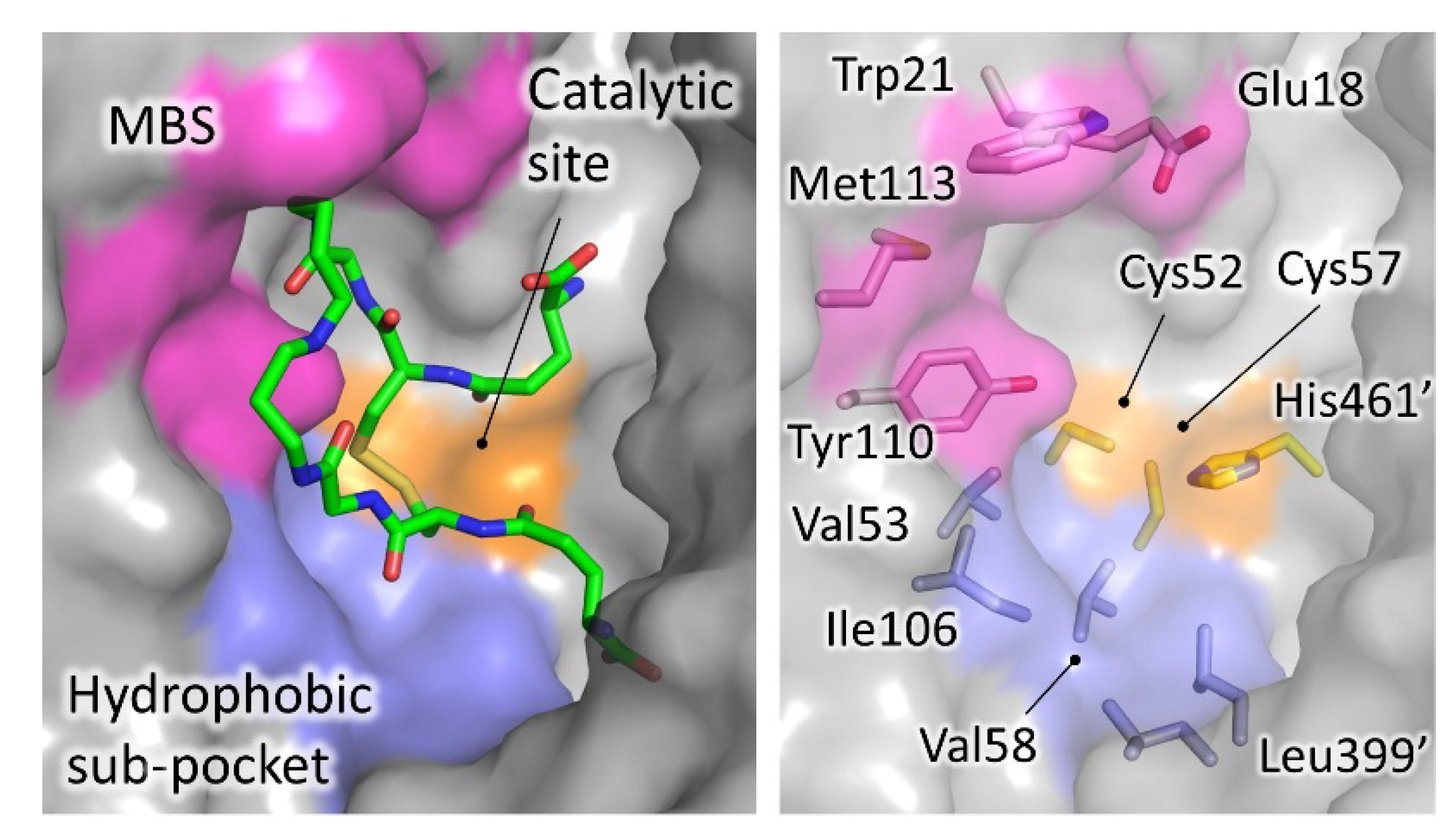 Molecules 25 01924 g004 Molecules 25 01924 g004