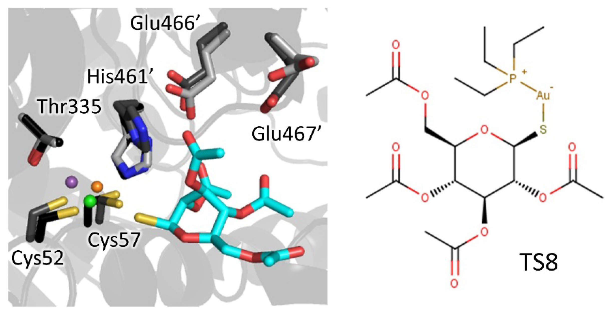 Molecules 25 01924 g008 Molecules 25 01924 g008