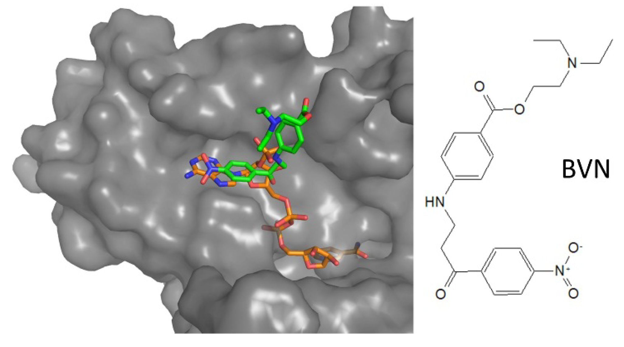 Molecules 25 01924 g009 Molecules 25 01924 g009