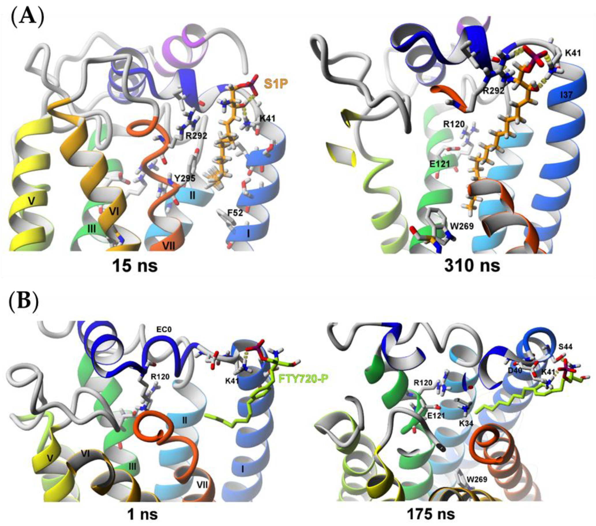 Molecules 25 01930 g008 Molecules 25 01930 g008