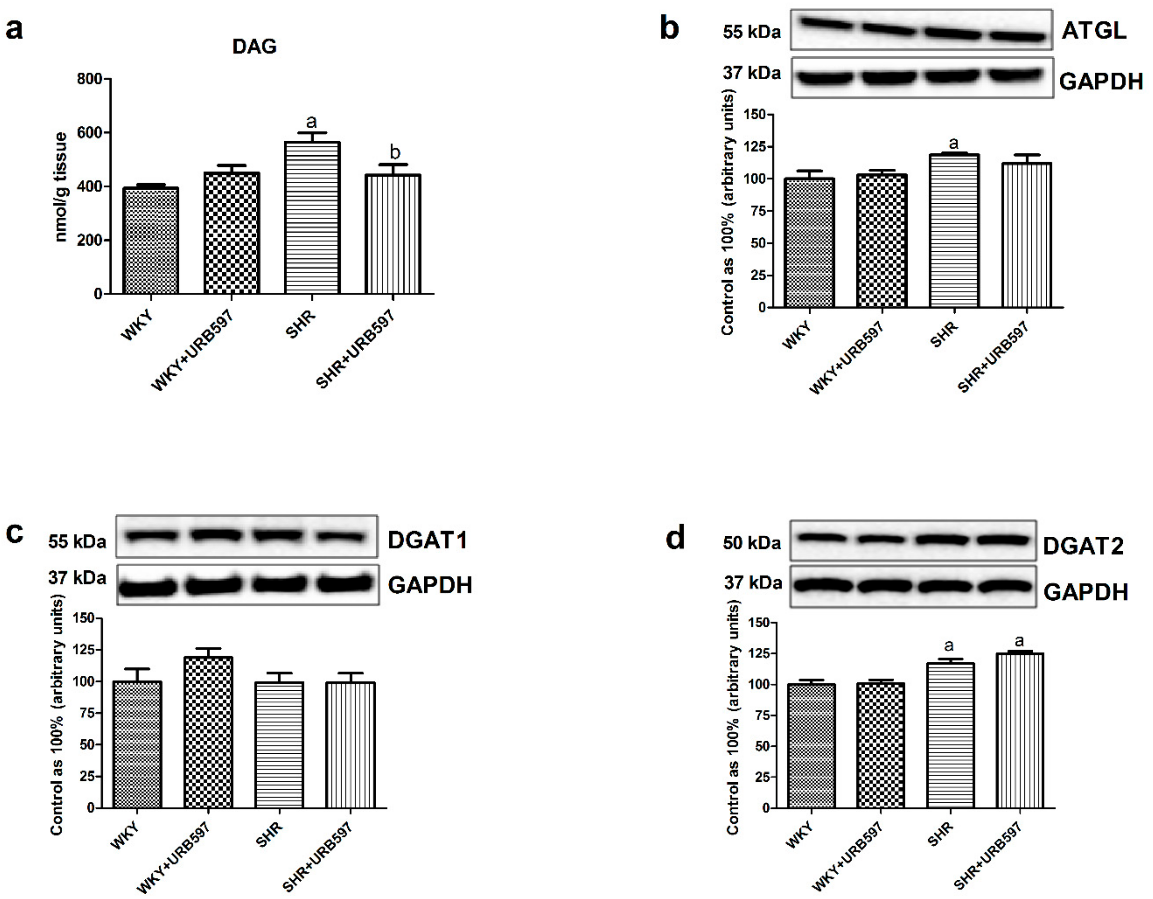 Molecules 25 01932 g002 Molecules 25 01932 g002