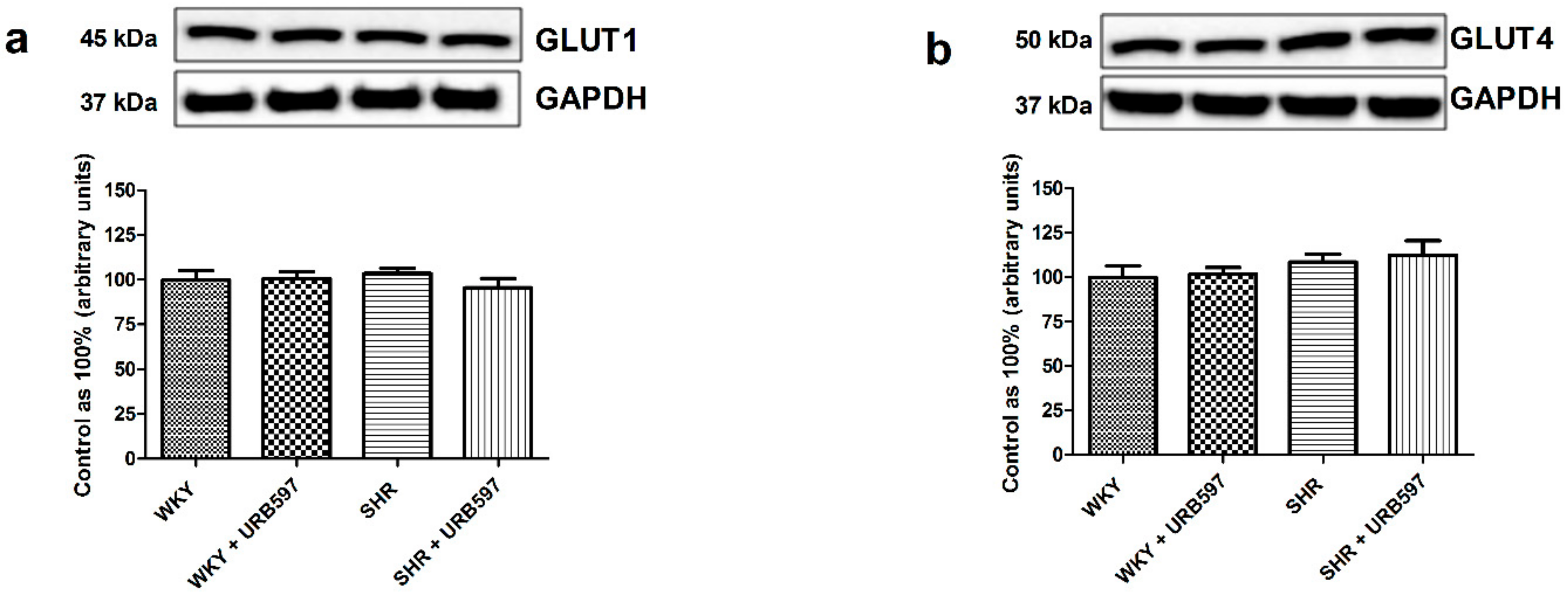 Molecules 25 01932 g004 Molecules 25 01932 g004