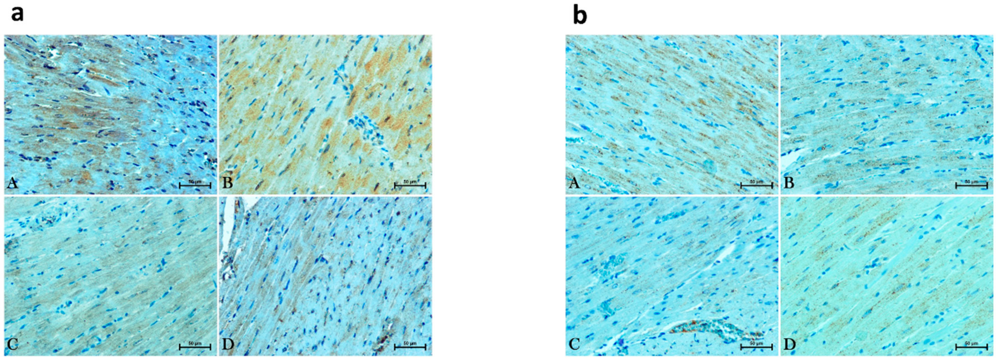 Molecules 25 01932 g005 Molecules 25 01932 g005