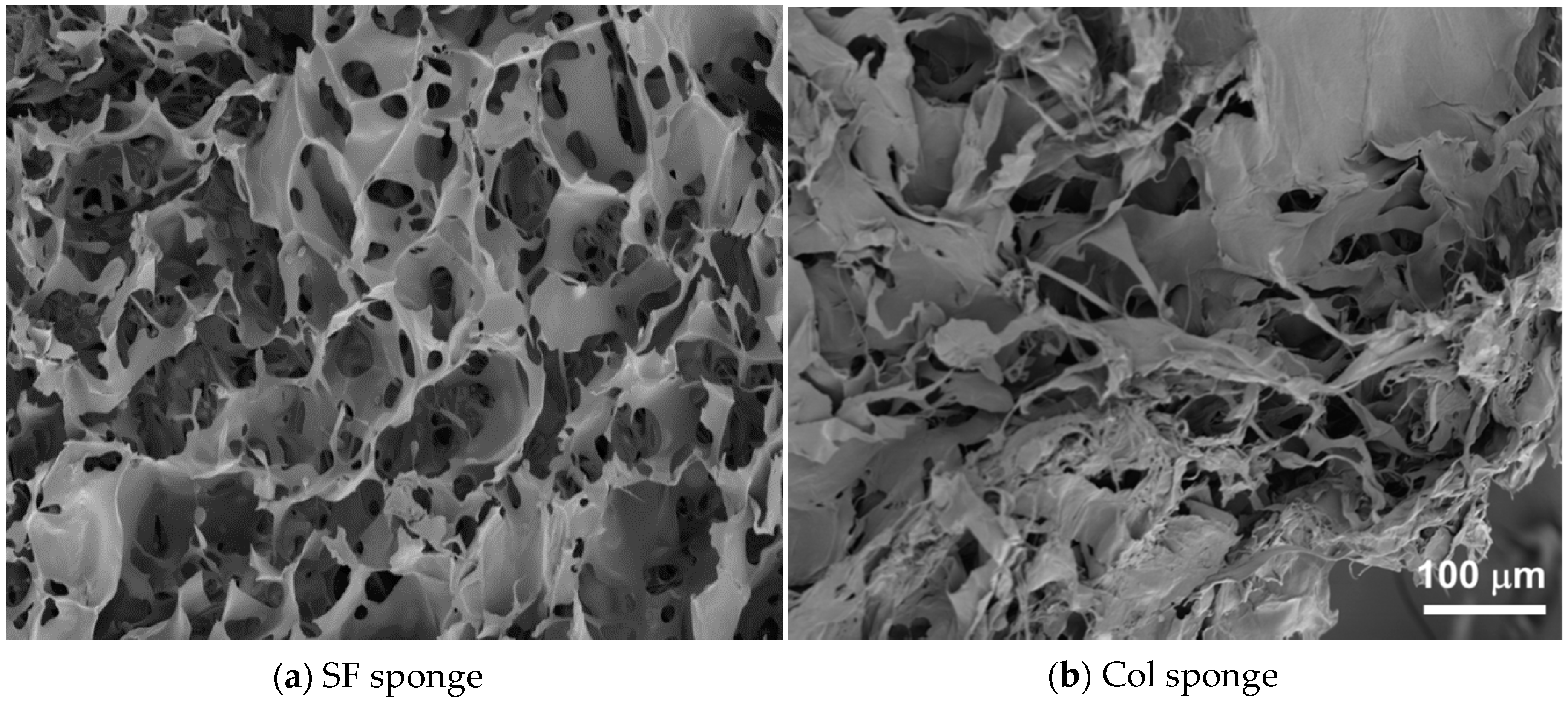 Molecules 25 01939 g004