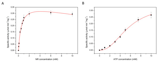 Molecules Free Full Text Structural And Functional Characterization Of Nadr From Lactococcus Lactis Html