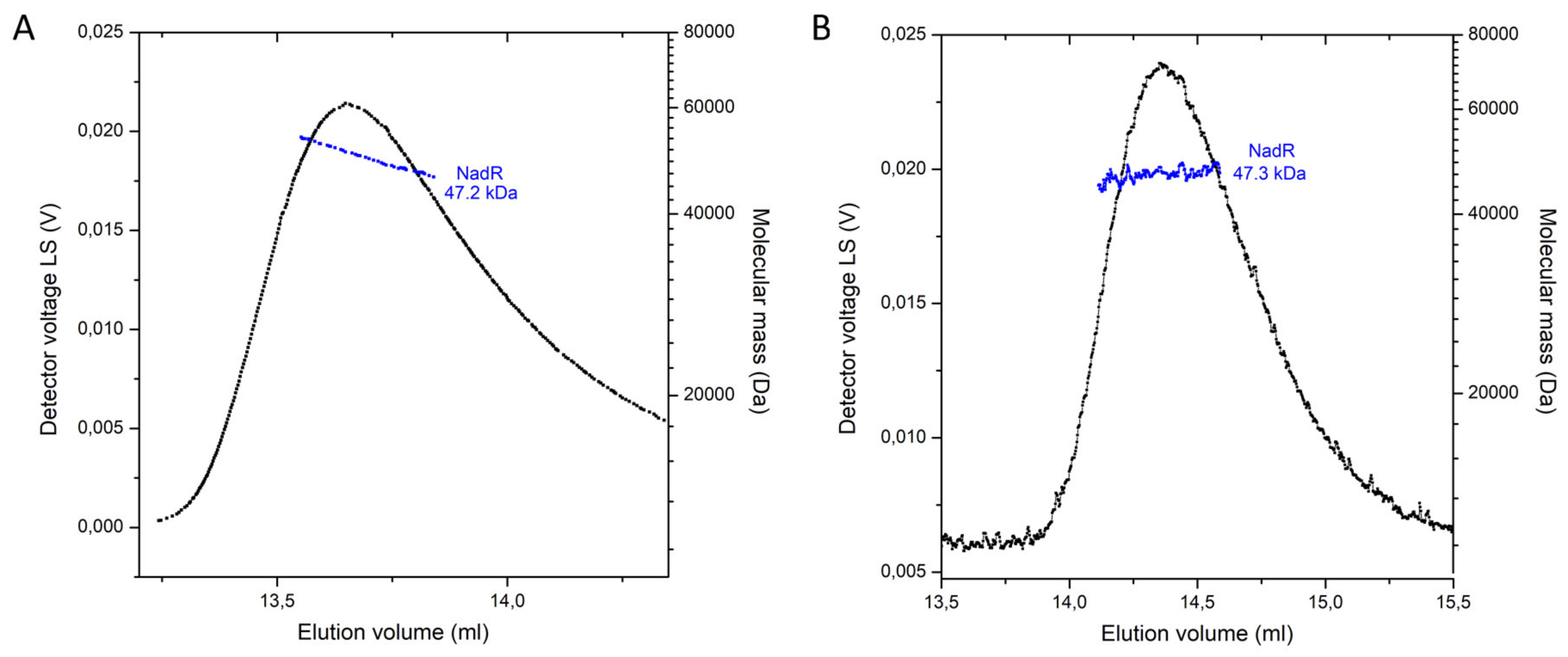 Molecules Free Full Text Structural And Functional Characterization Of Nadr From Lactococcus Lactis Html