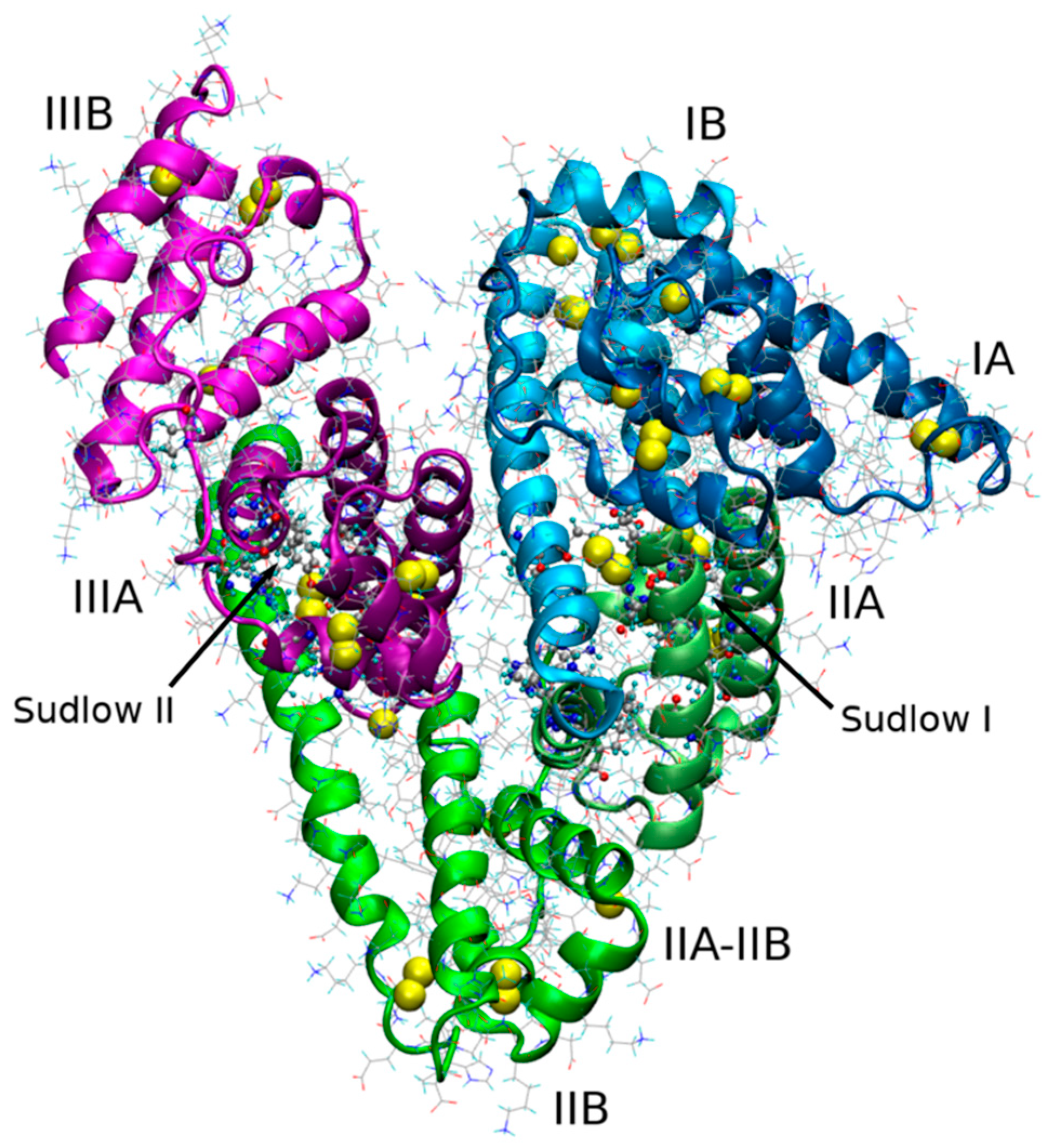 Molecules 25 01945 g001