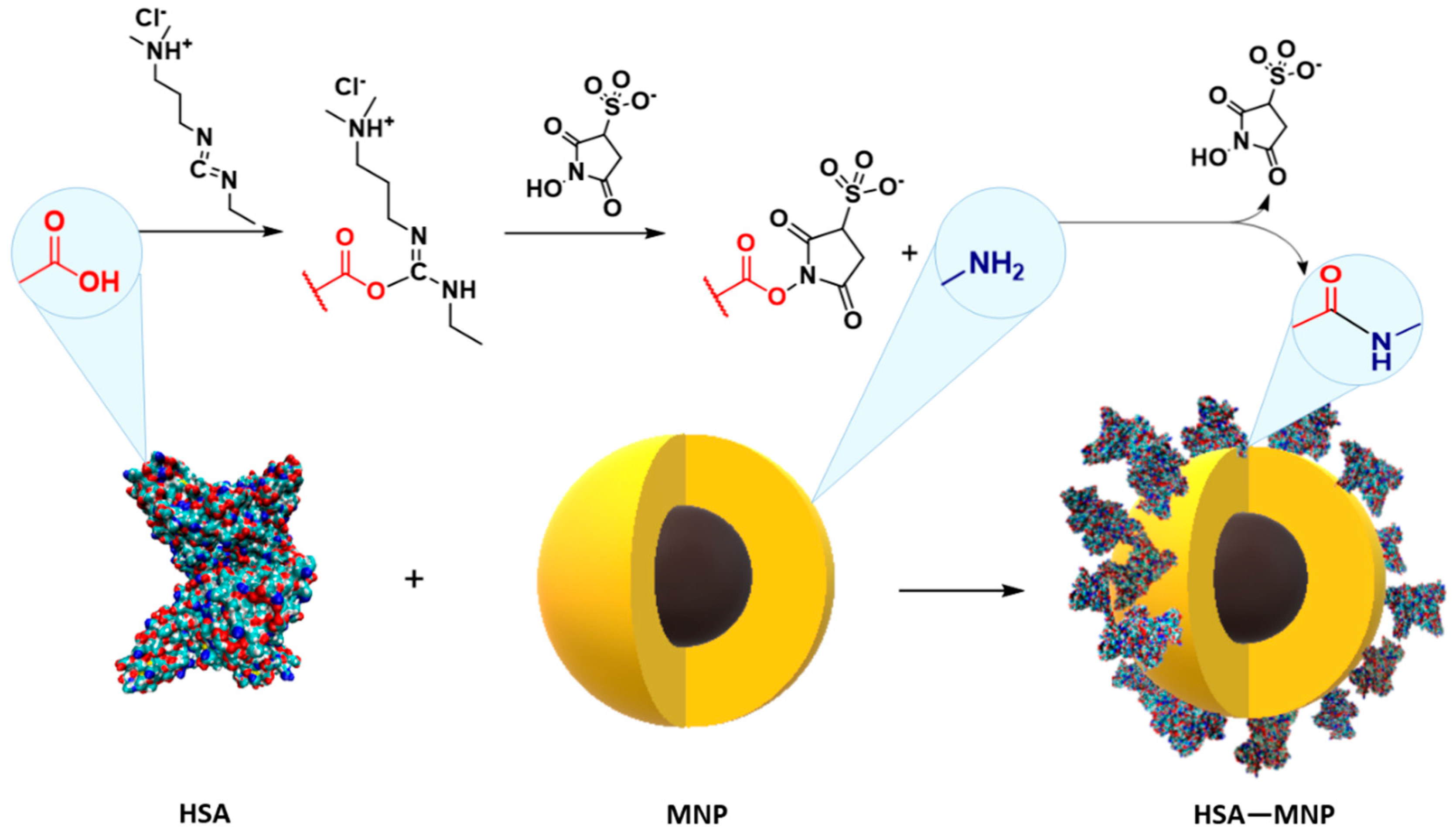 Molecules 25 01945 g003