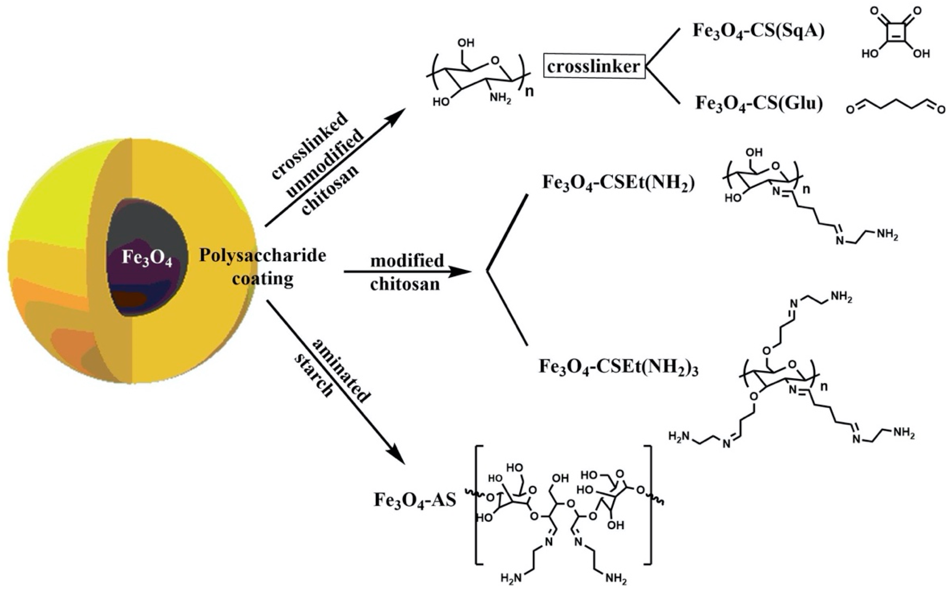 Molecules 25 01945 g004