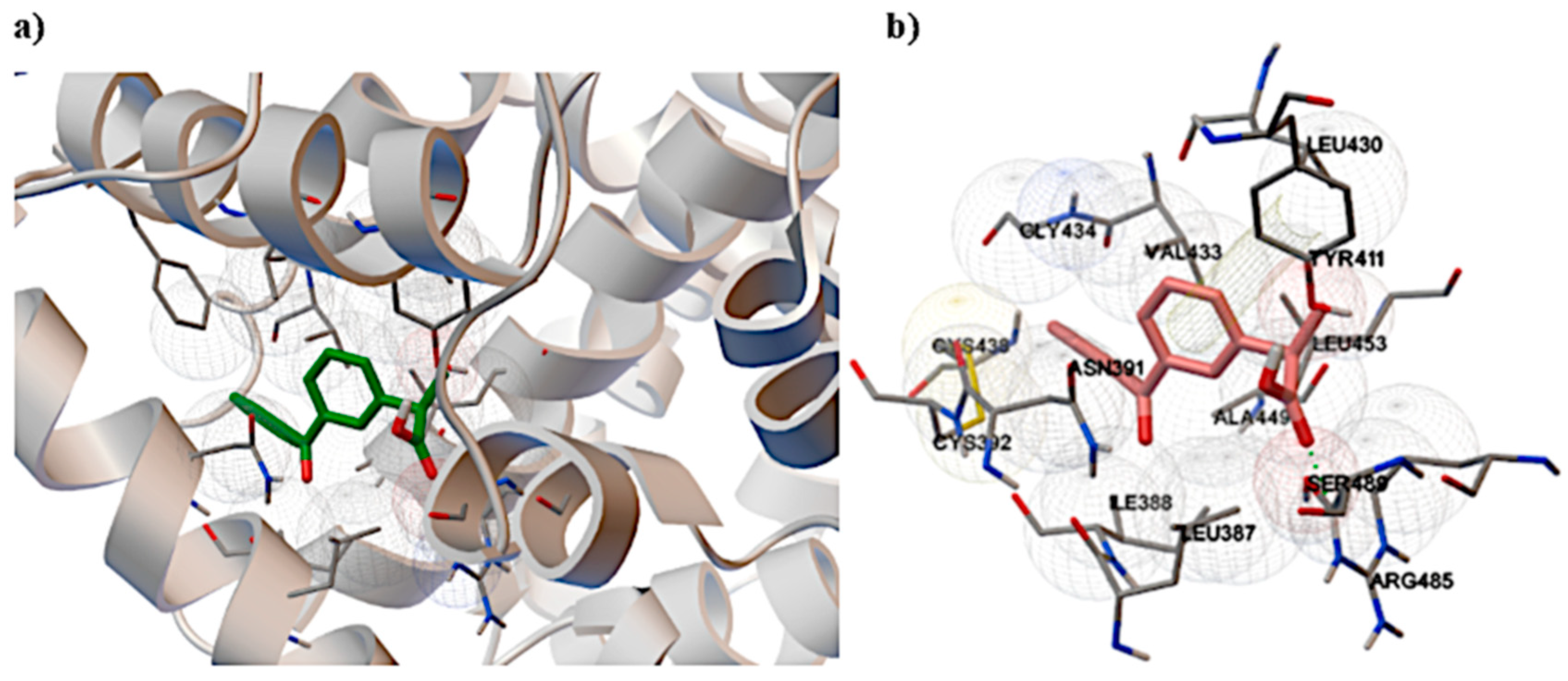 Molecules 25 01945 g005