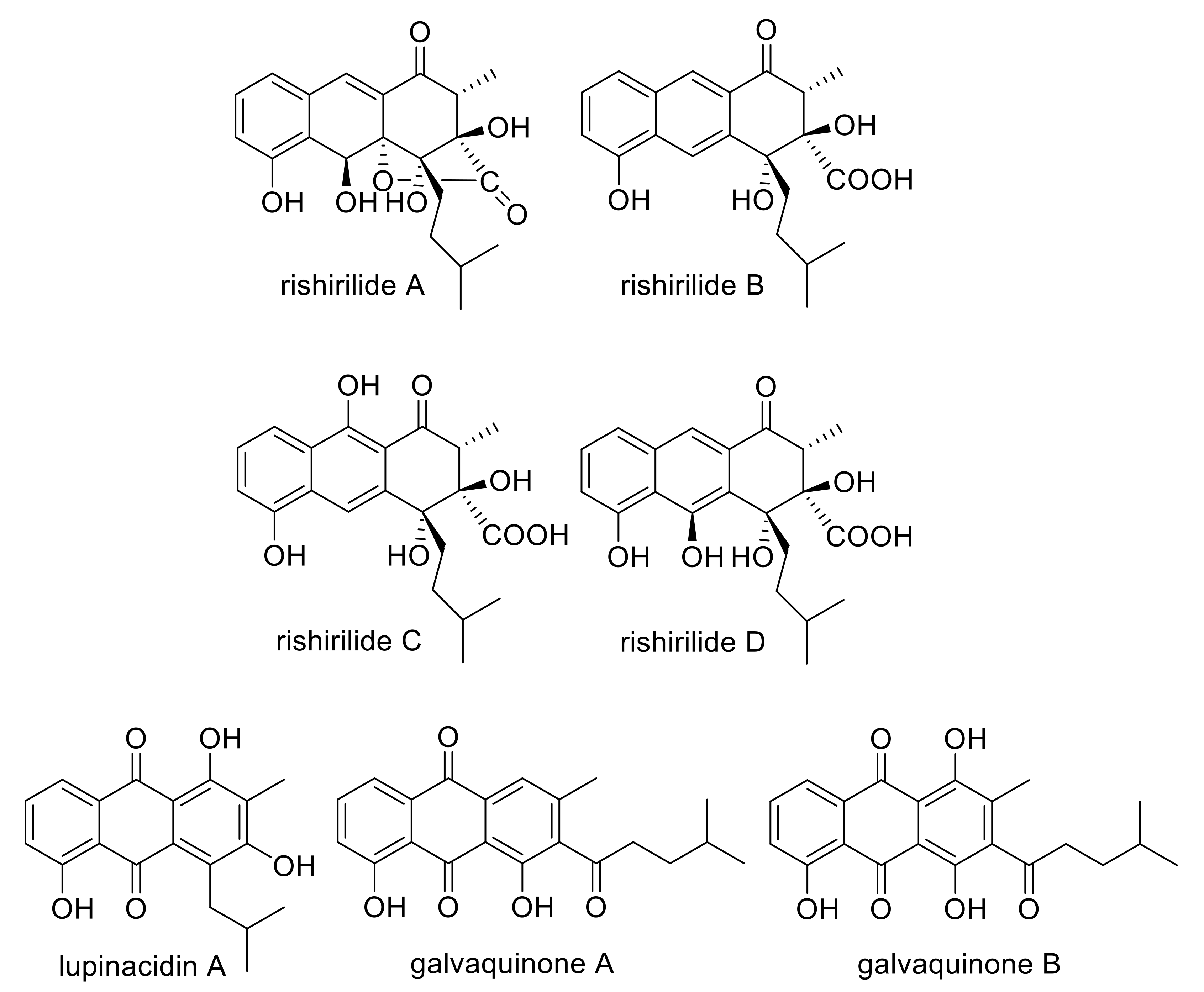 Molecules 25 01955 g001