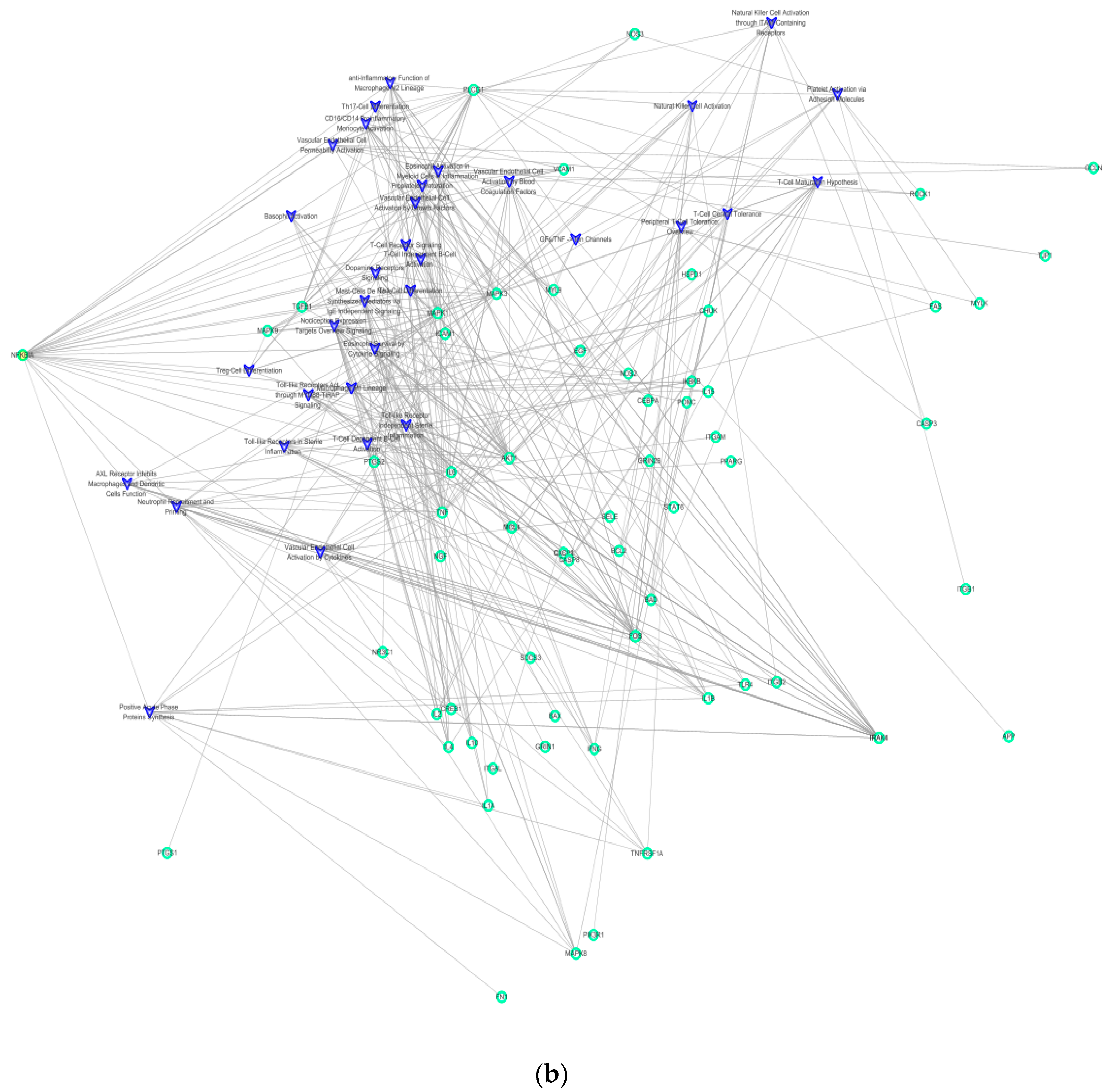 Molecules 25 01967 g004b