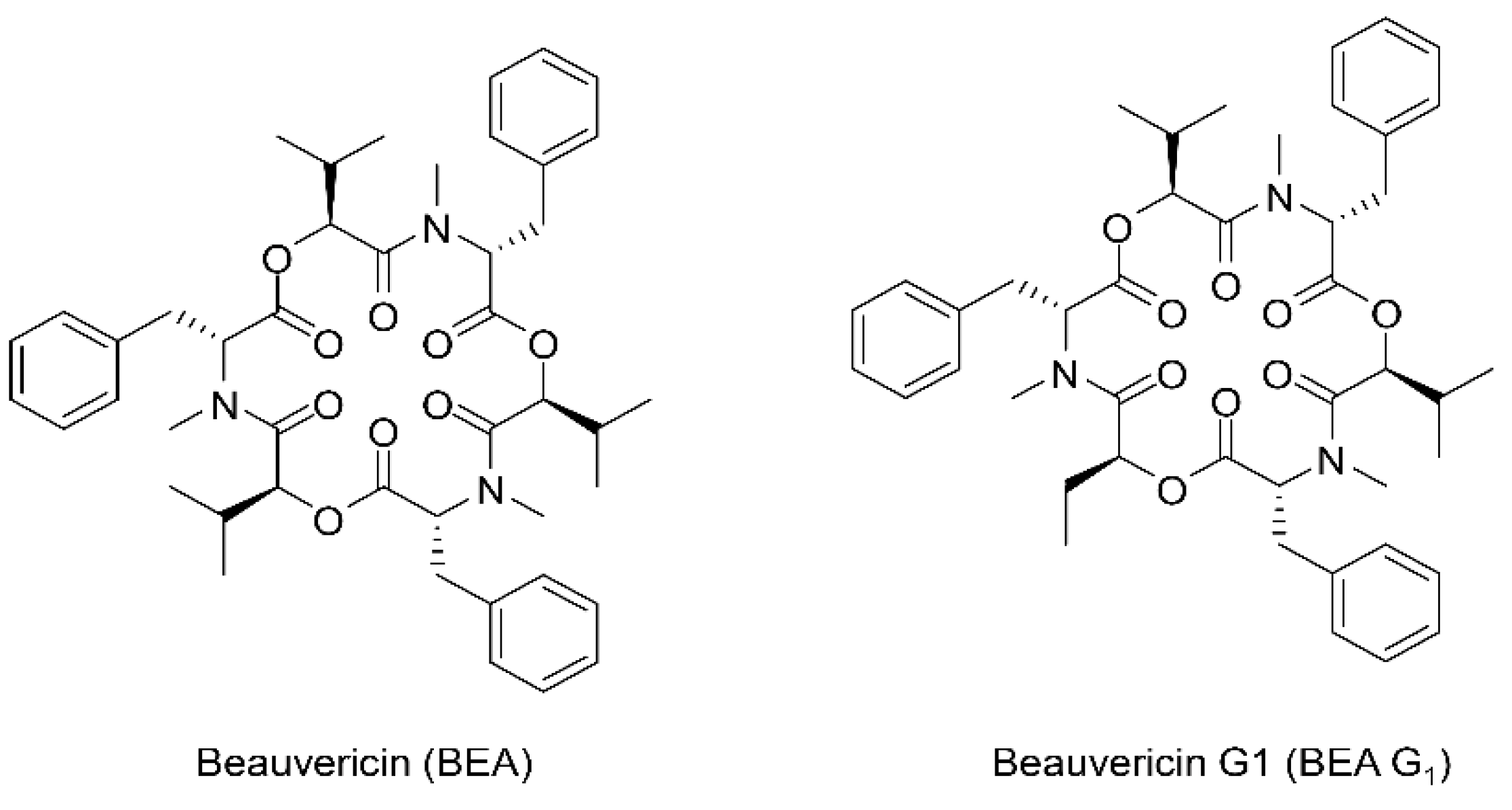 Molecules 25 01974 g001