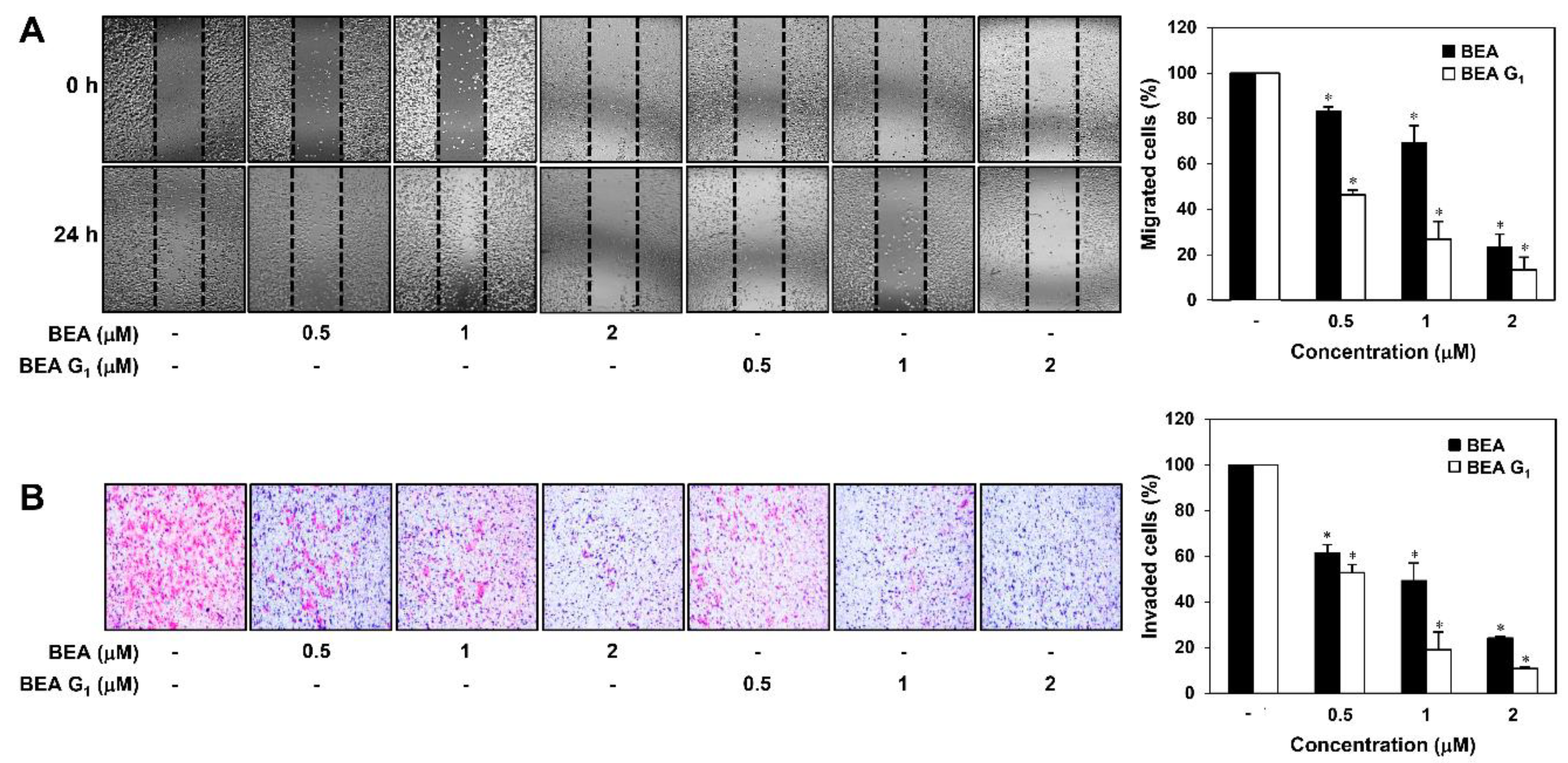 Molecules 25 01974 g003