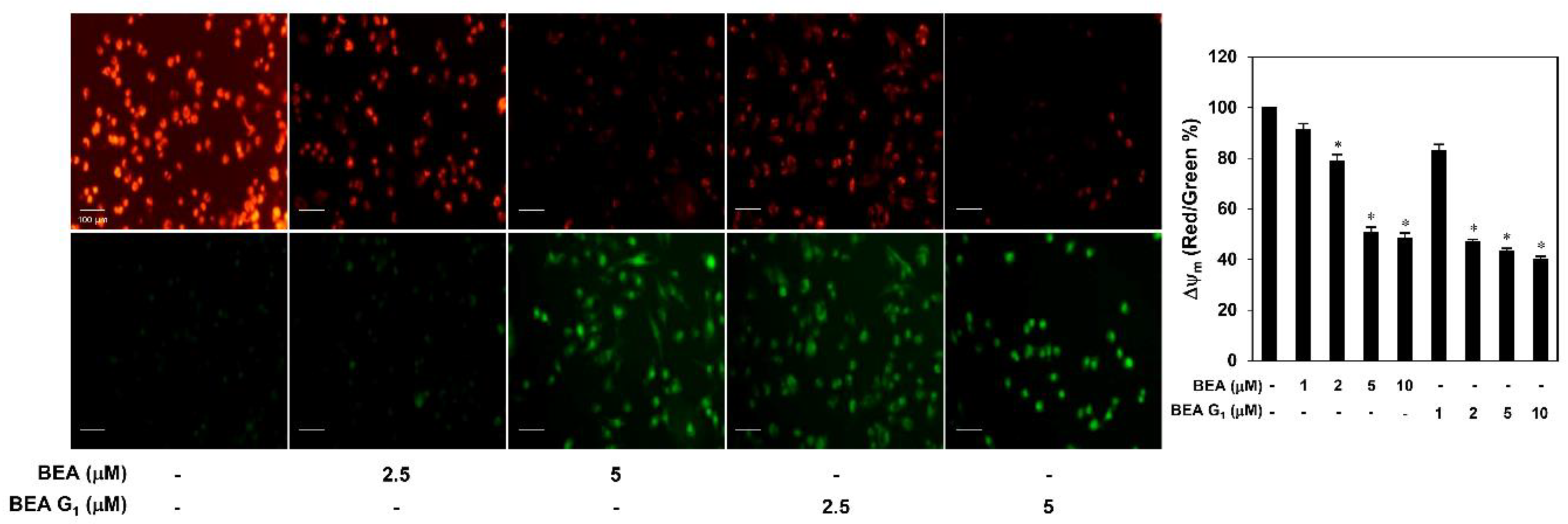 Molecules 25 01974 g006
