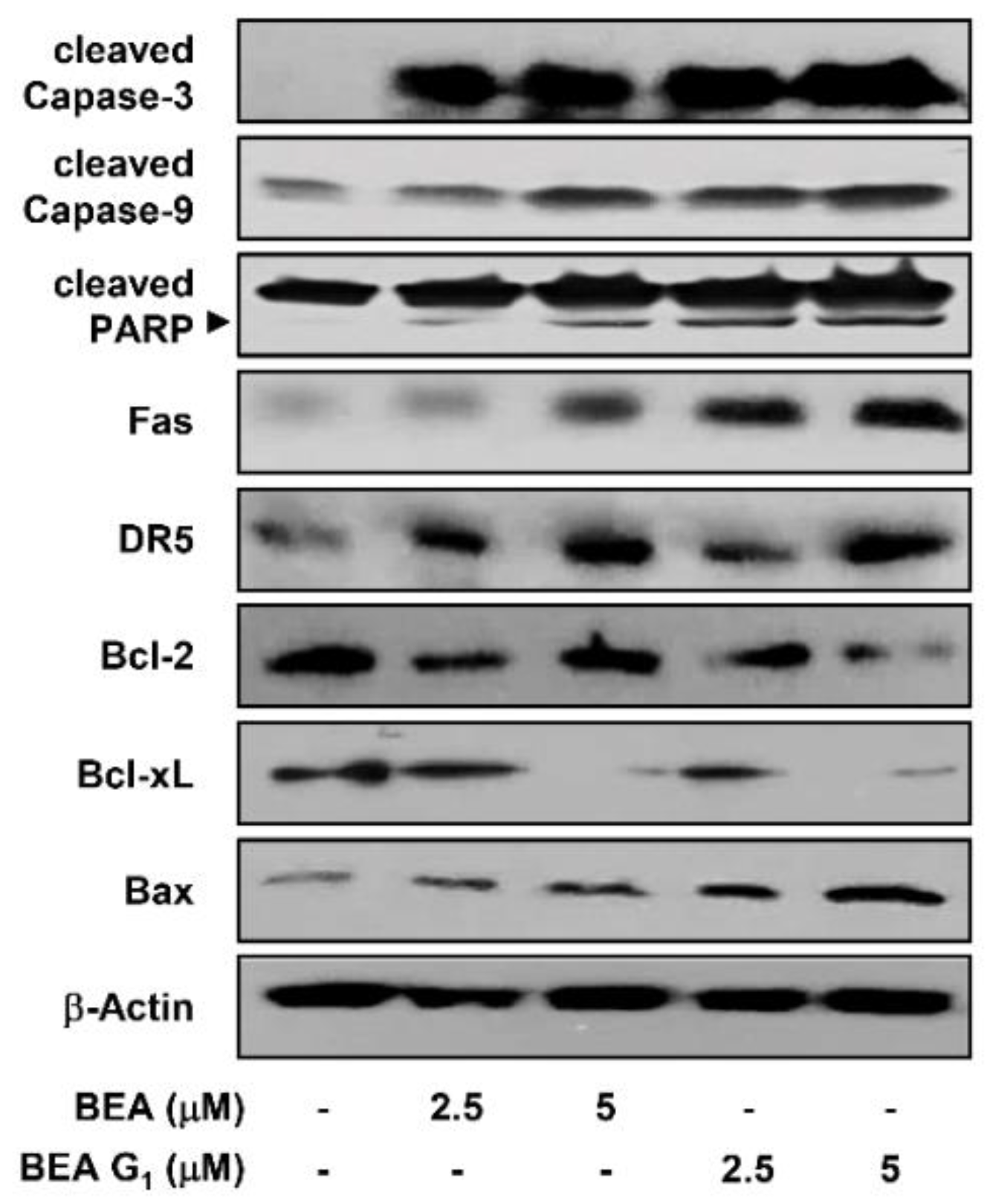 Molecules 25 01974 g007