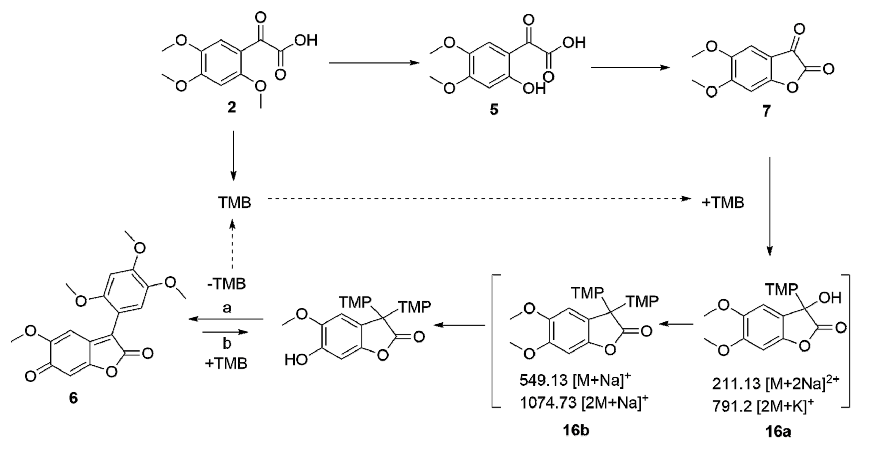 Molecules 25 01978 sch003