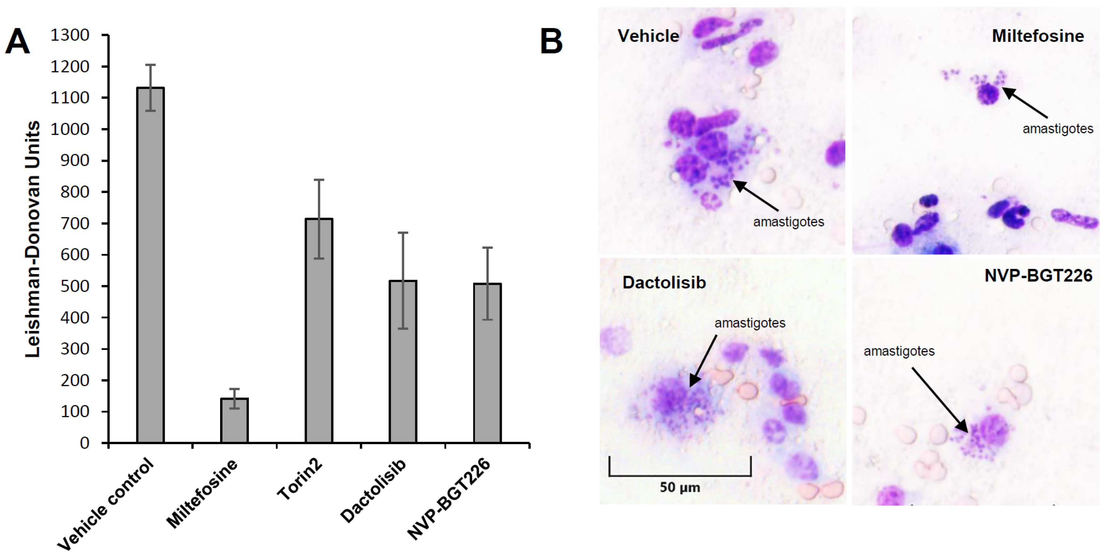 Molecules 25 01980 g006 Molecules 25 01980 g006