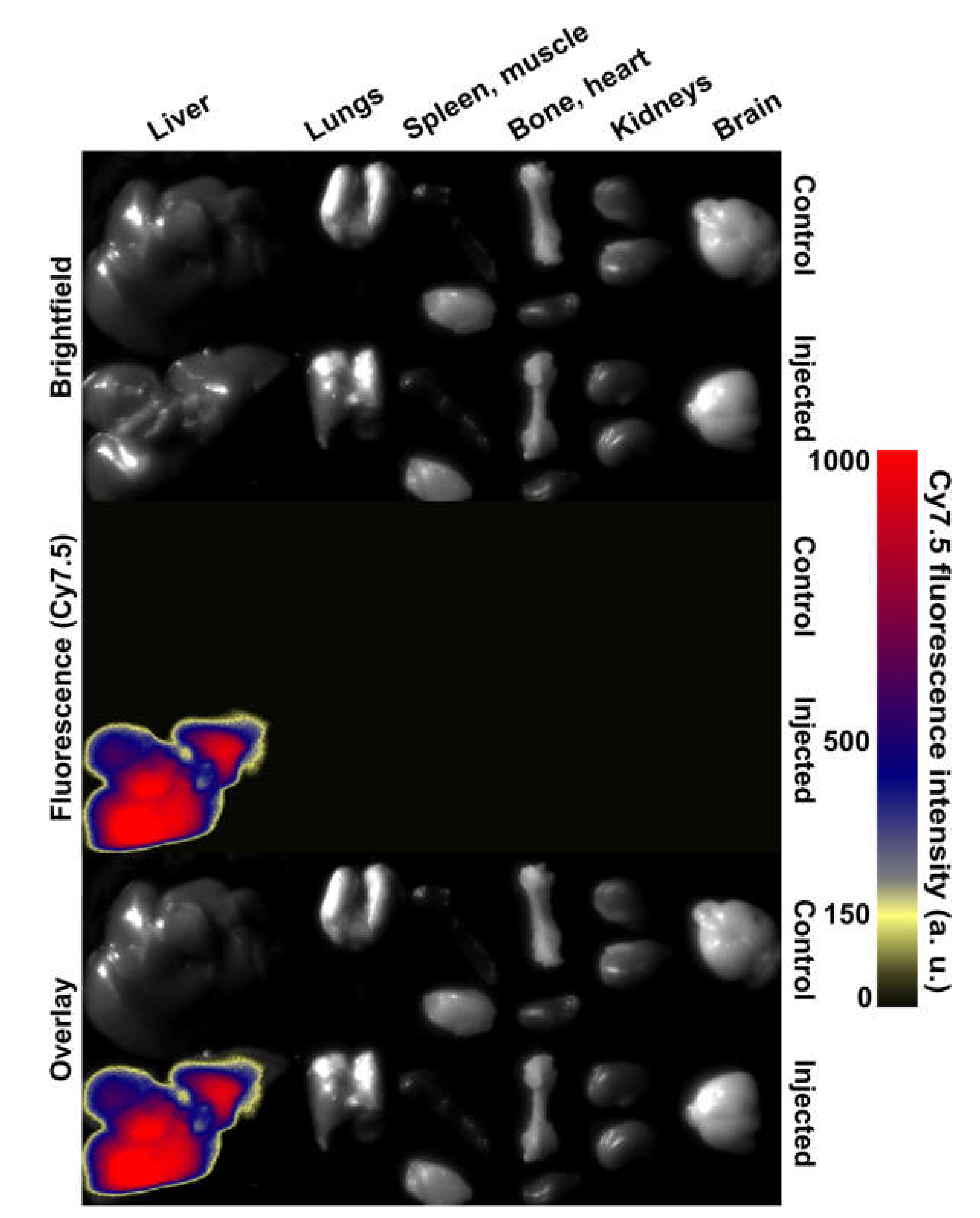 Molecules 25 01984 g005 Molecules 25 01984 g005