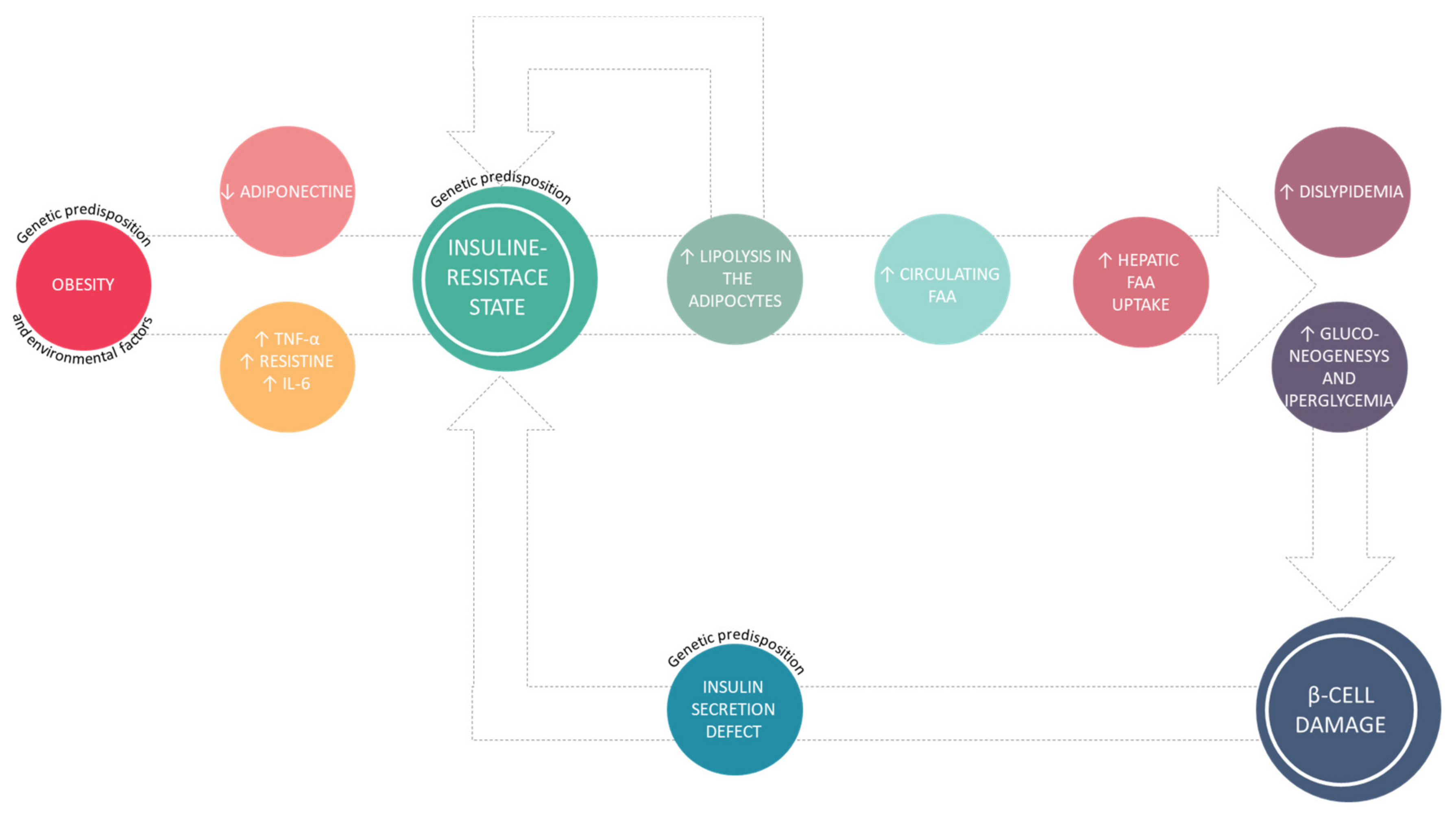 Molecules 25 01987 g001 Molecules 25 01987 g001