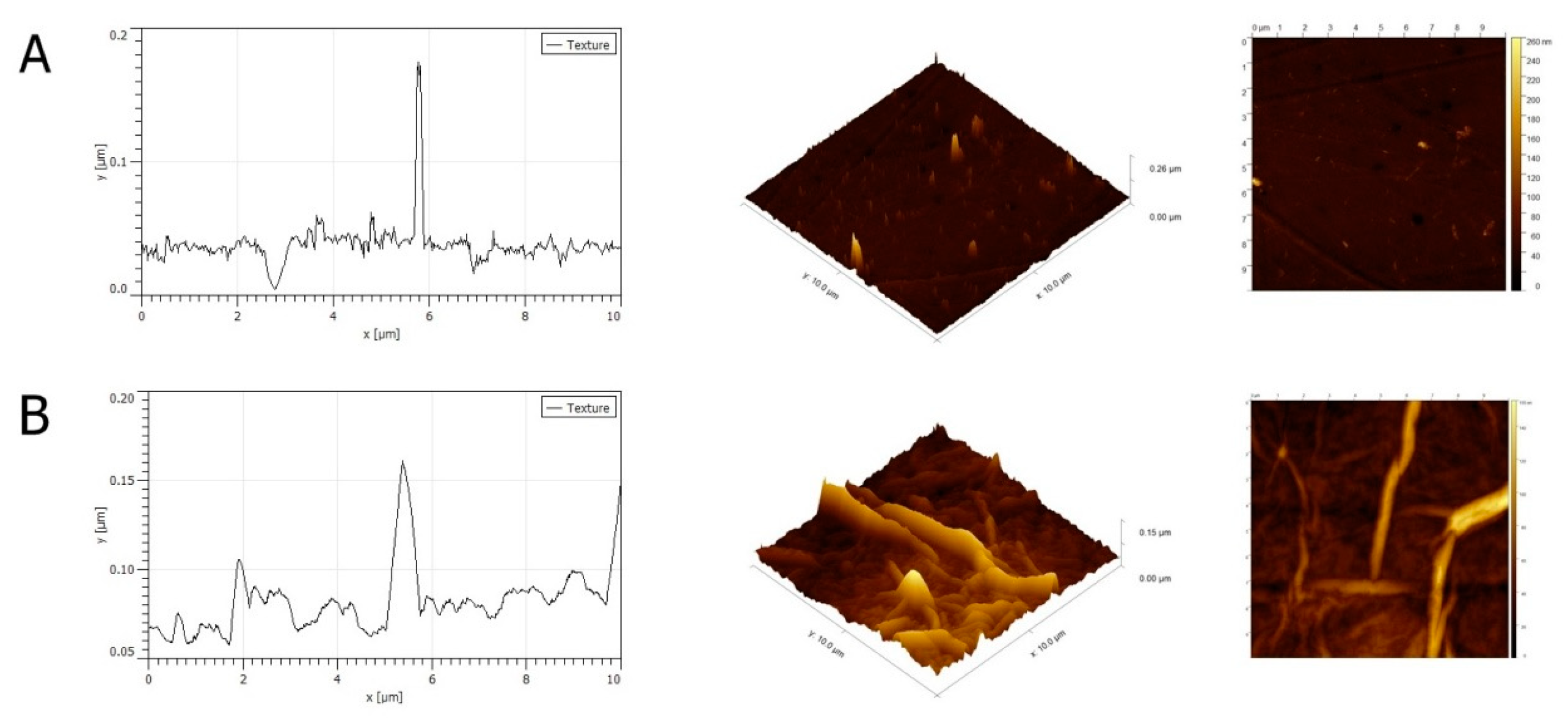 Molecules 25 01991 g002