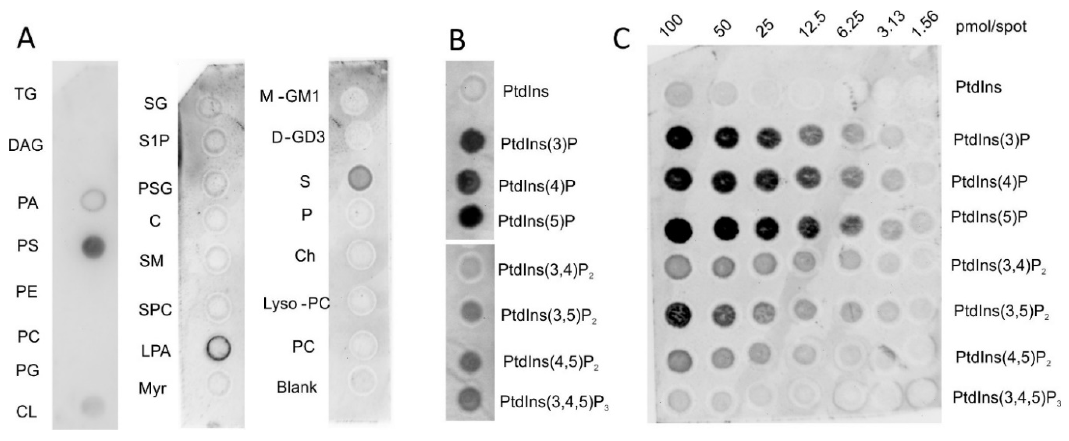 Molecules 25 01992 g001