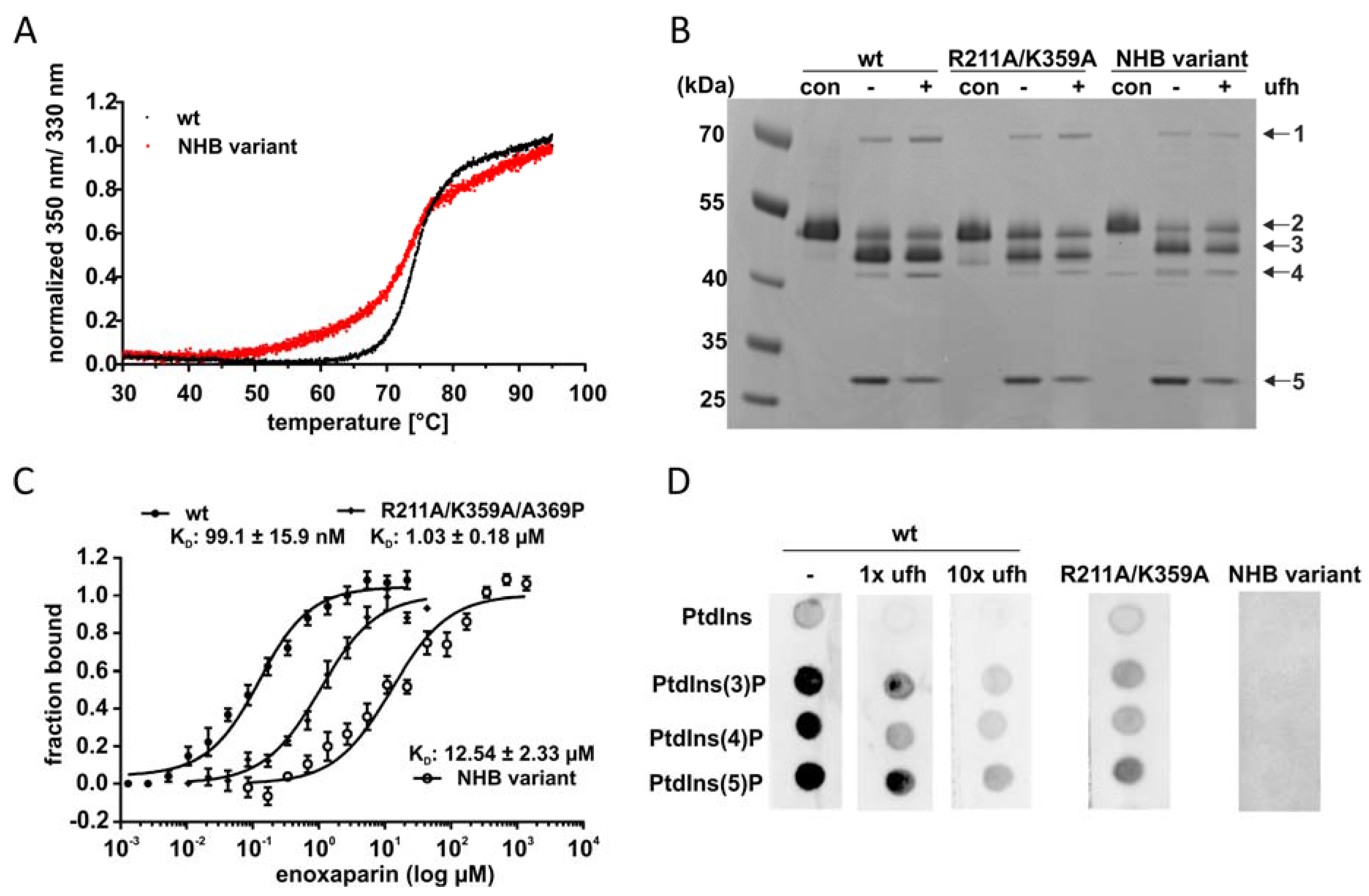 Molecules 25 01992 g004