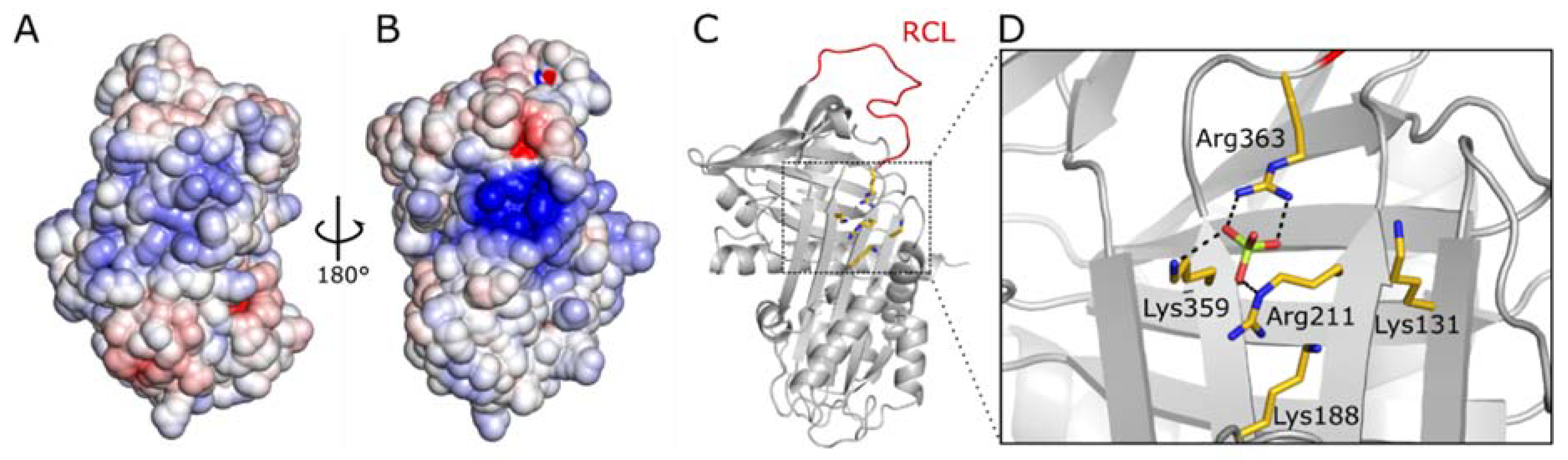 Molecules 25 01992 g005