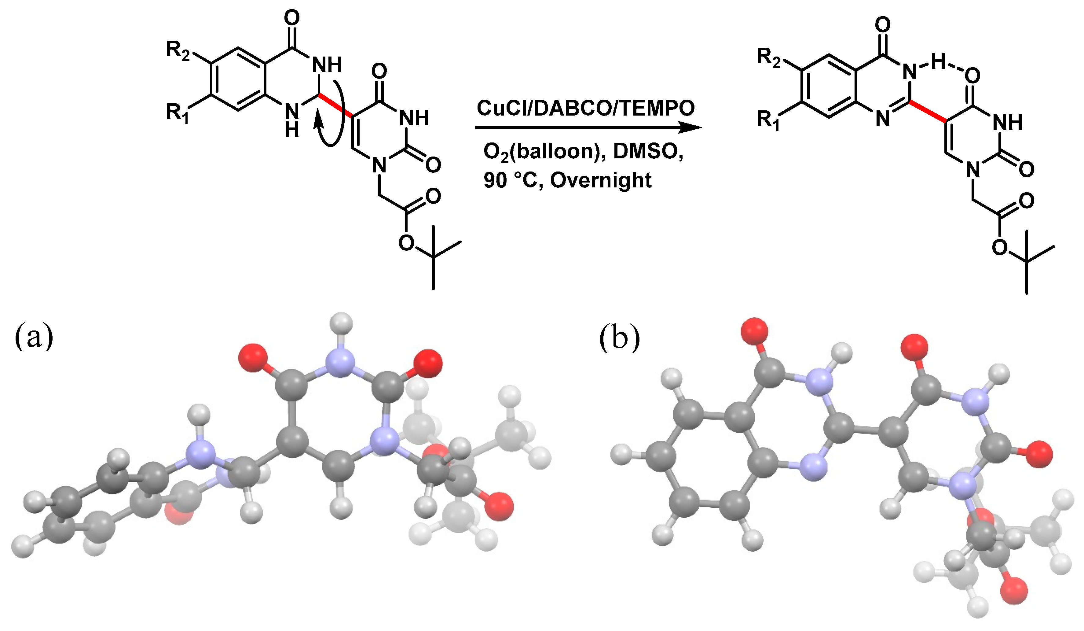 Molecules 25 01995 g003