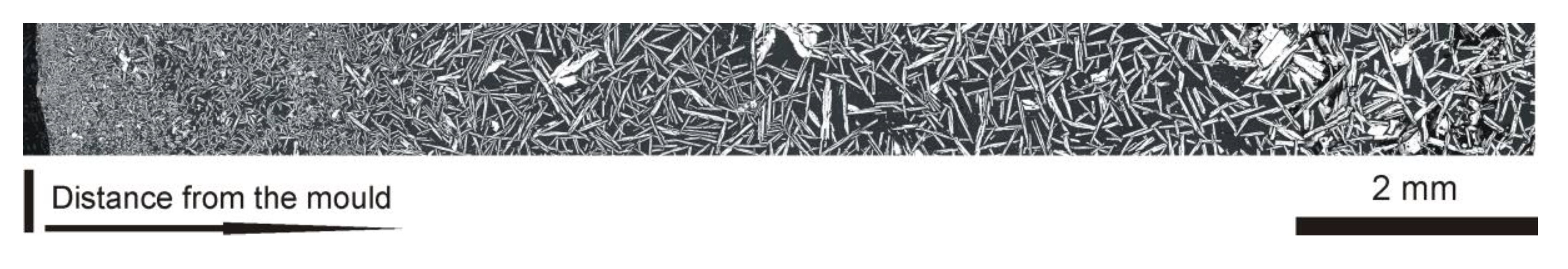 Molecules 25 02001 g006 550