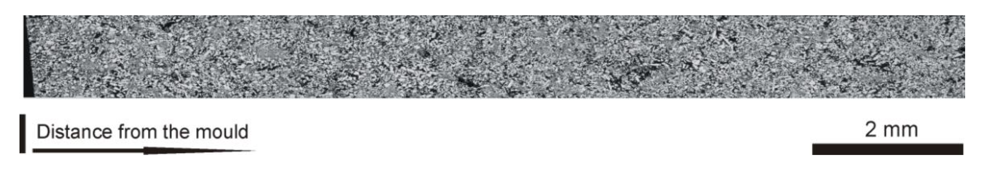 Molecules 25 02001 g009 550