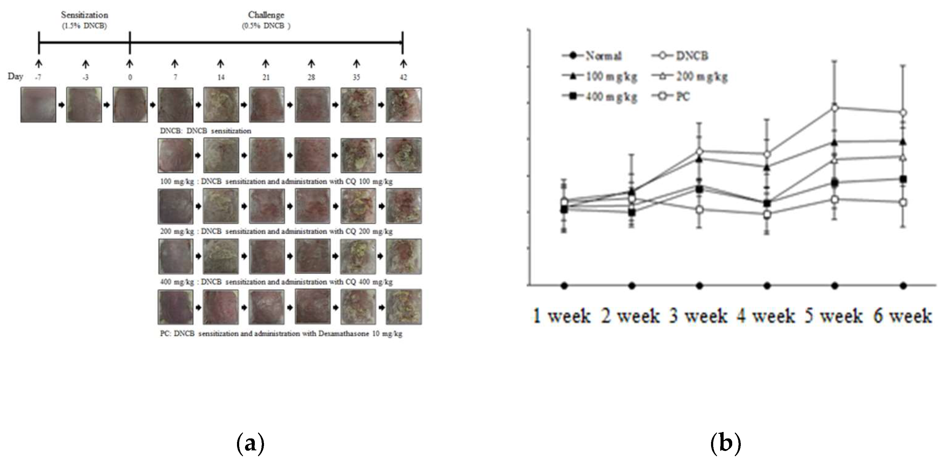 Molecules 25 02003 g003 Molecules 25 02003 g003