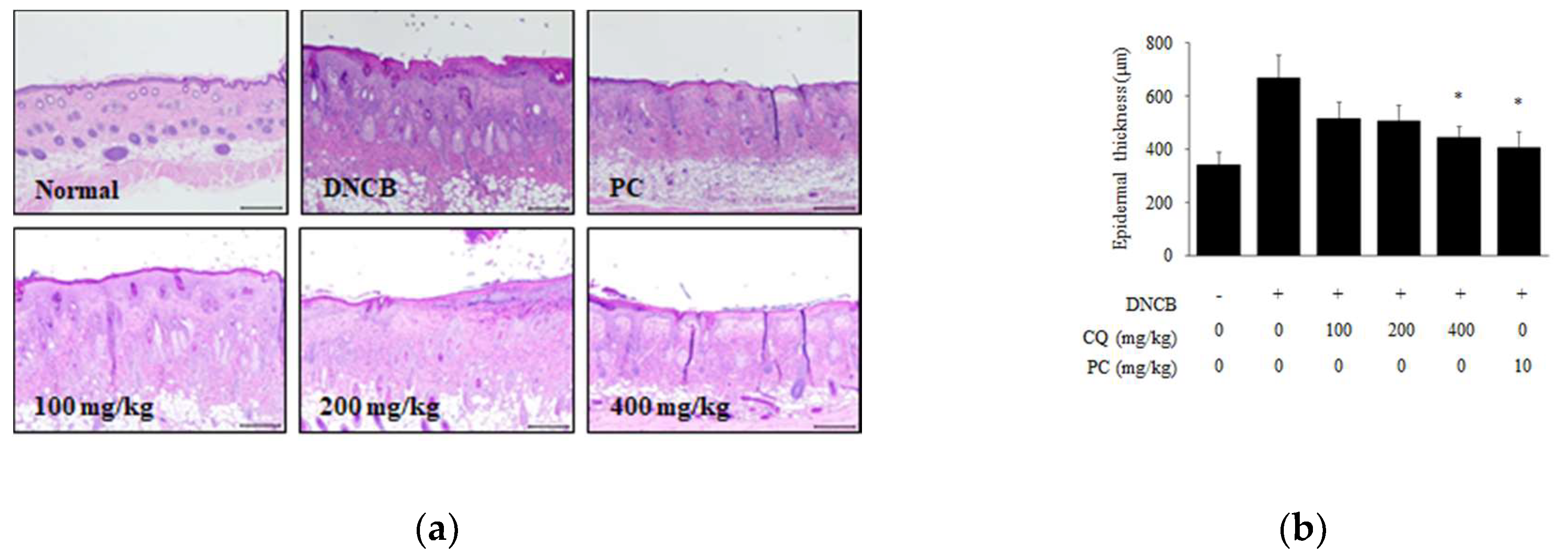 Molecules 25 02003 g005a Molecules 25 02003 g005a
