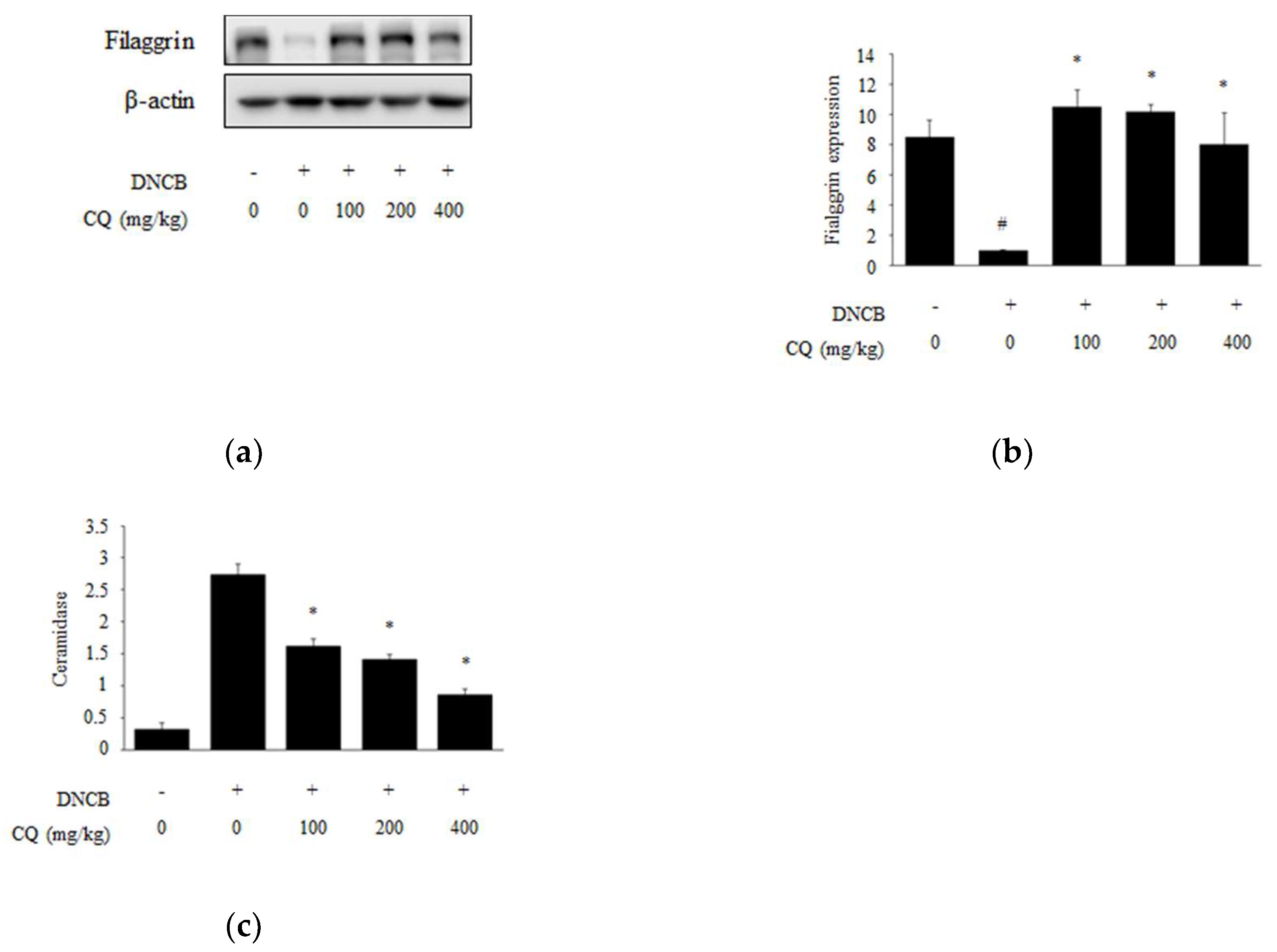 Molecules 25 02003 g006 Molecules 25 02003 g006