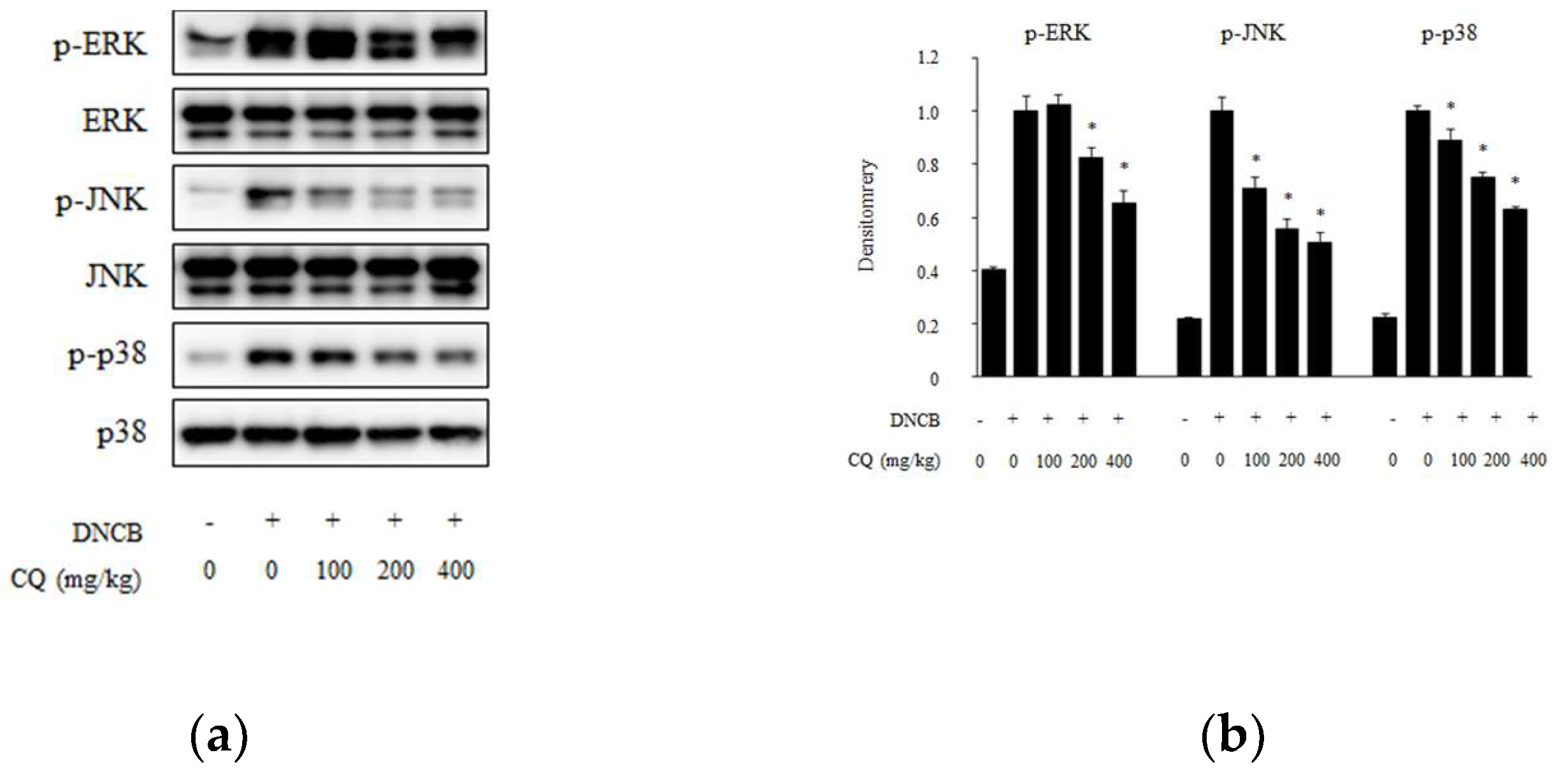 Molecules 25 02003 g008 Molecules 25 02003 g008