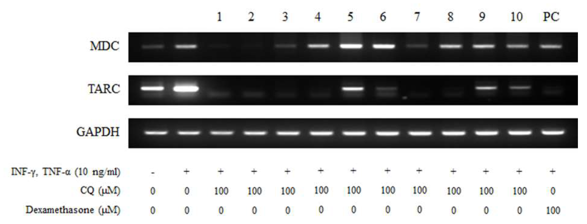 Molecules 25 02003 g0a1 Molecules 25 02003 g0a1
