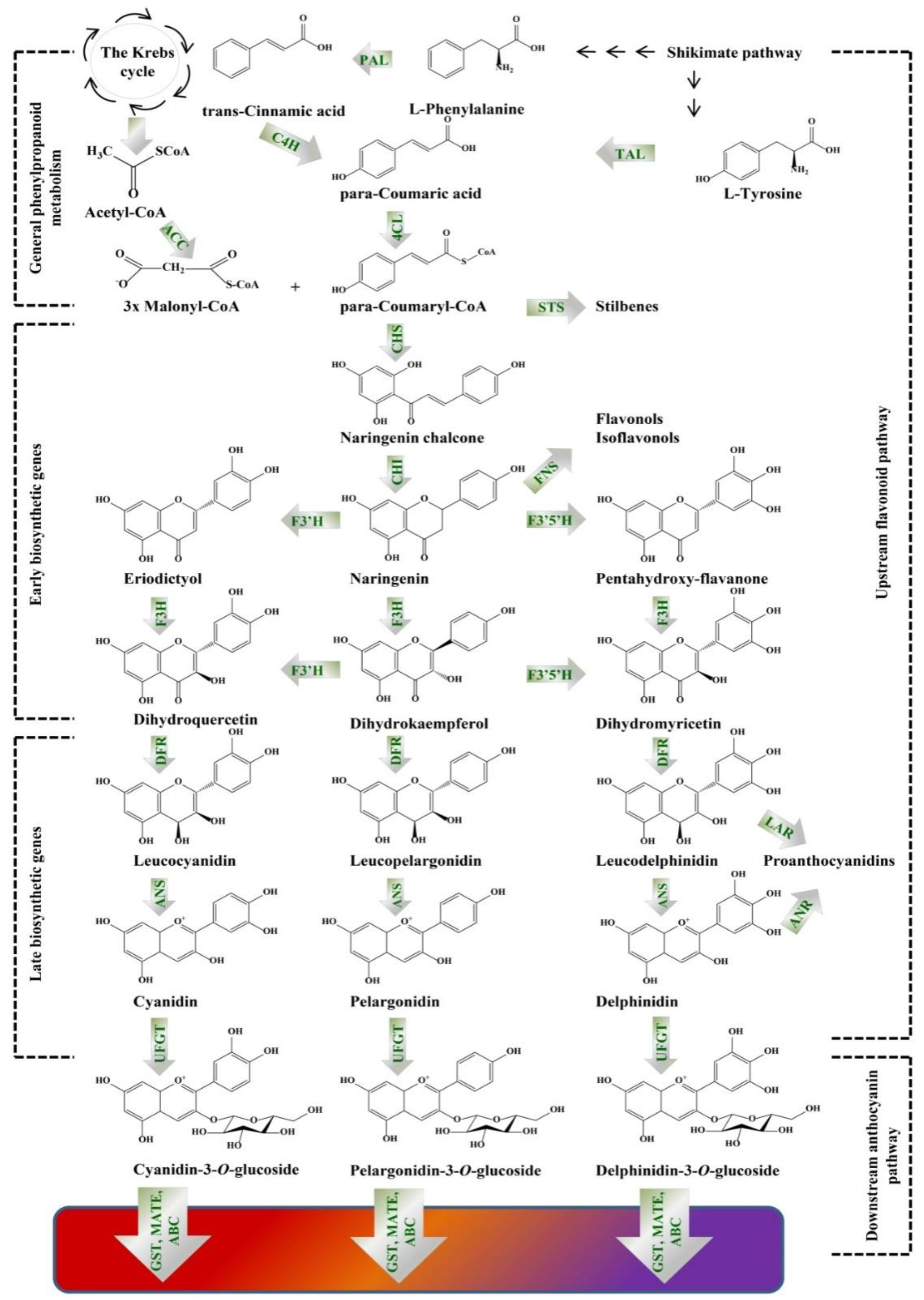 Molecules 25 02006 g001 Molecules 25 02006 g001