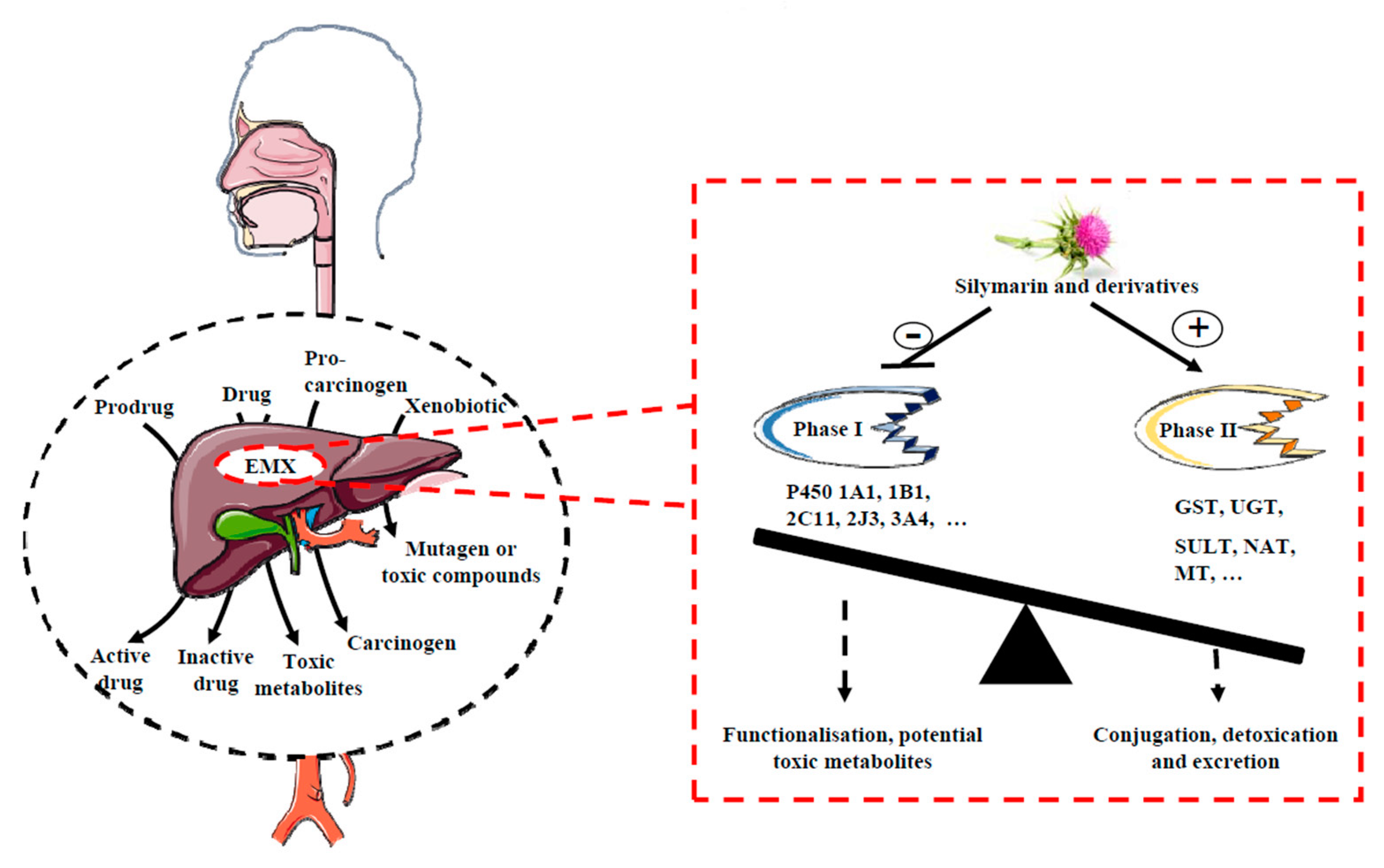 Molecules 25 02009 g002 Molecules 25 02009 g002