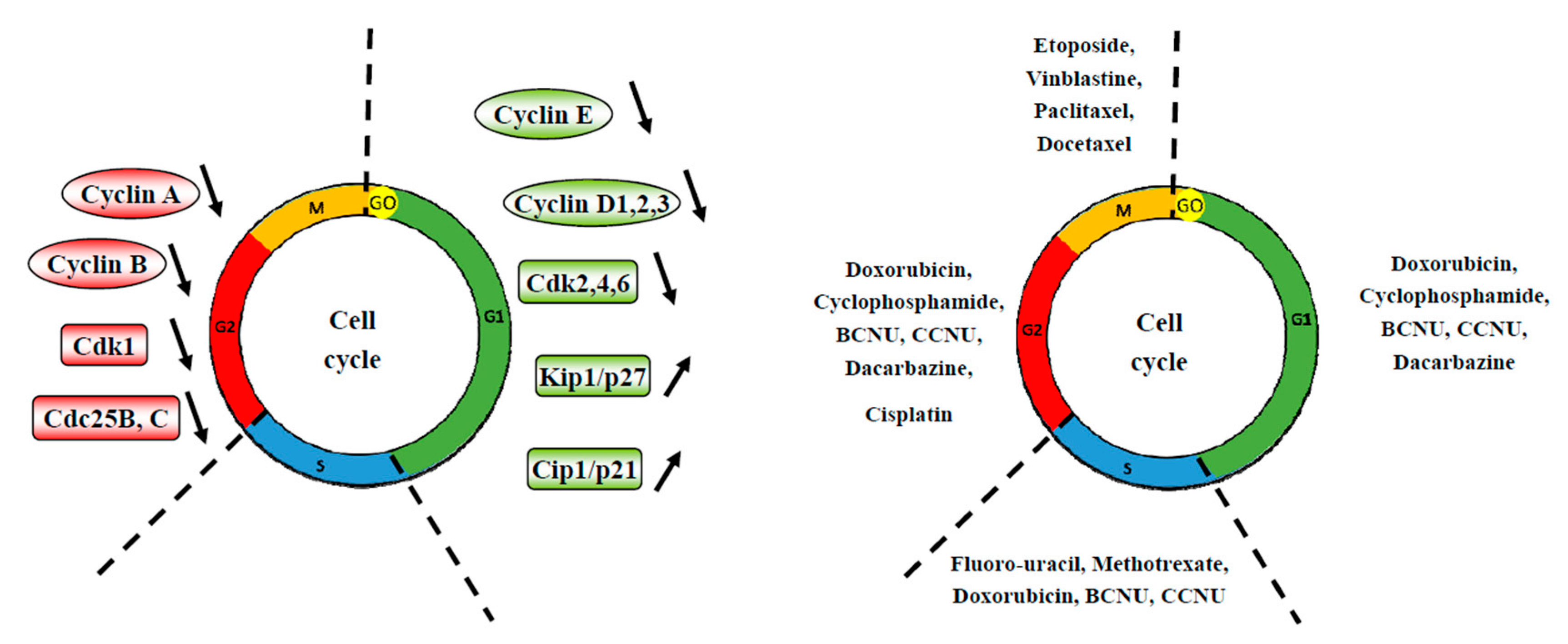 Molecules 25 02009 g003 Molecules 25 02009 g003
