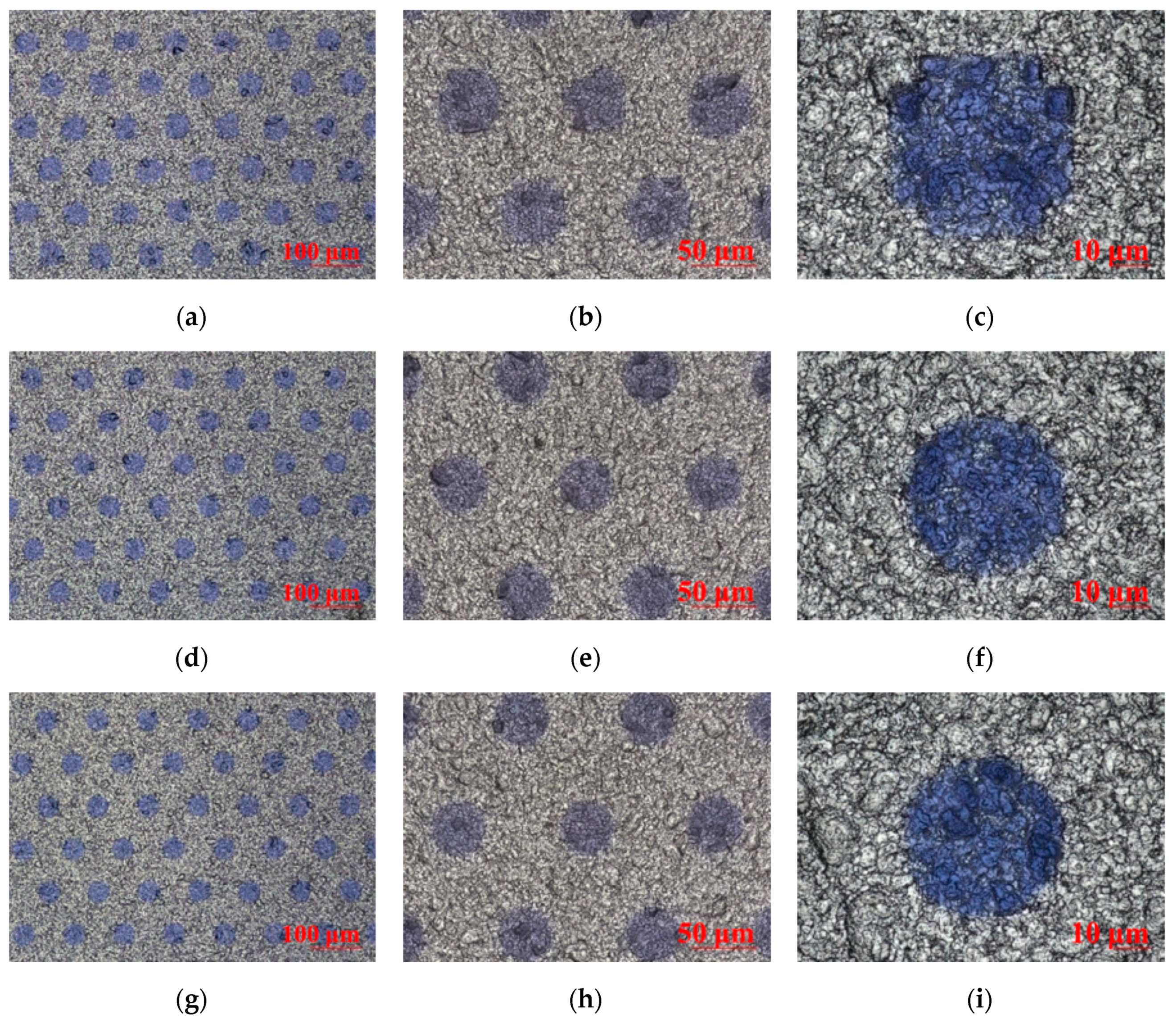 Molecules 25 02012 g005 Molecules 25 02012 g005
