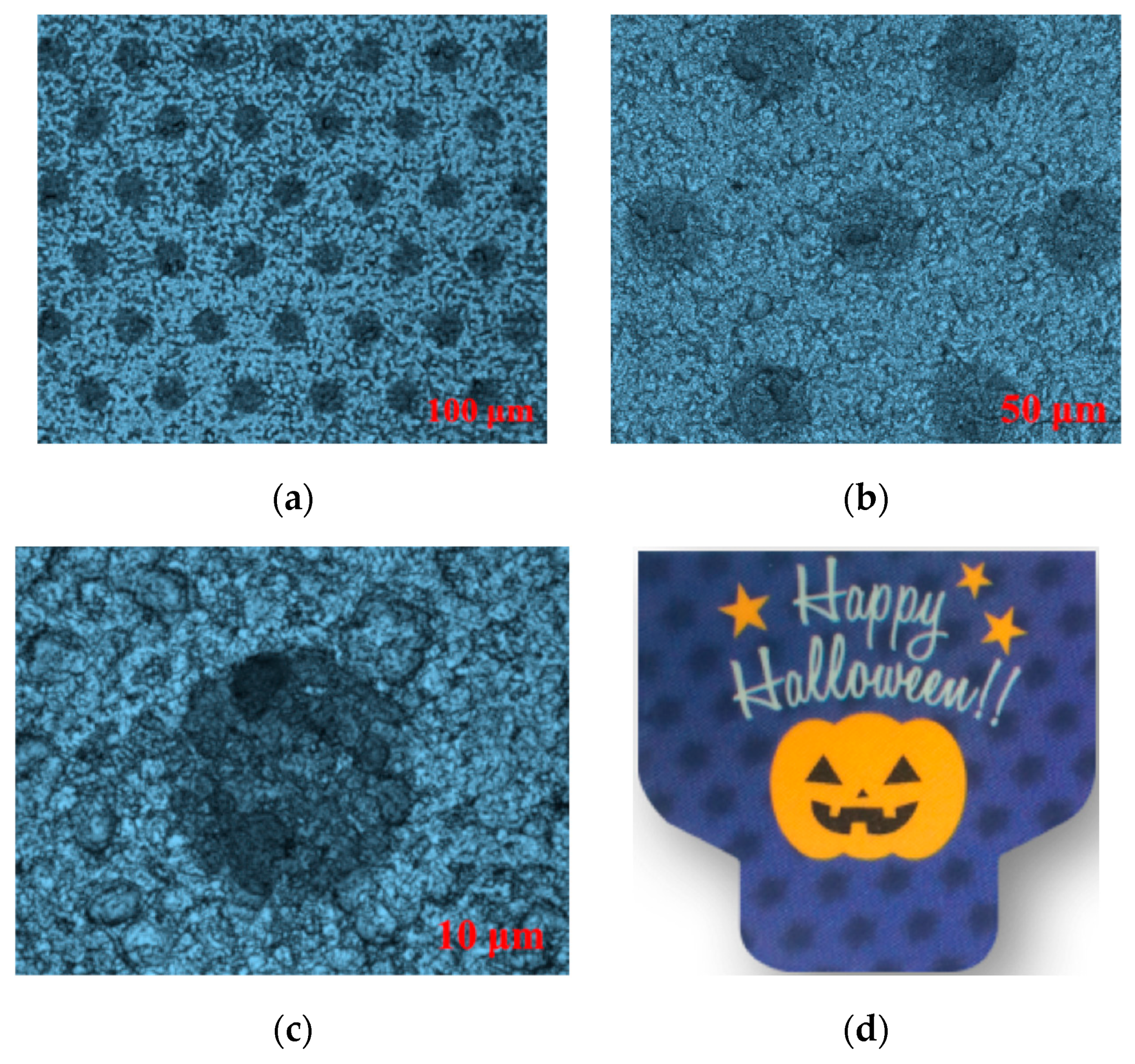 Molecules 25 02012 g008 Molecules 25 02012 g008