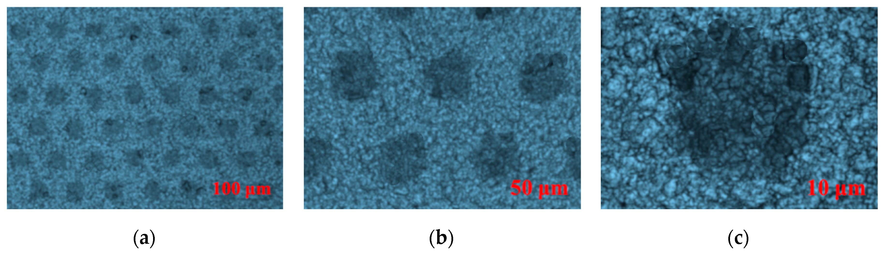 Molecules 25 02012 g009a Molecules 25 02012 g009a