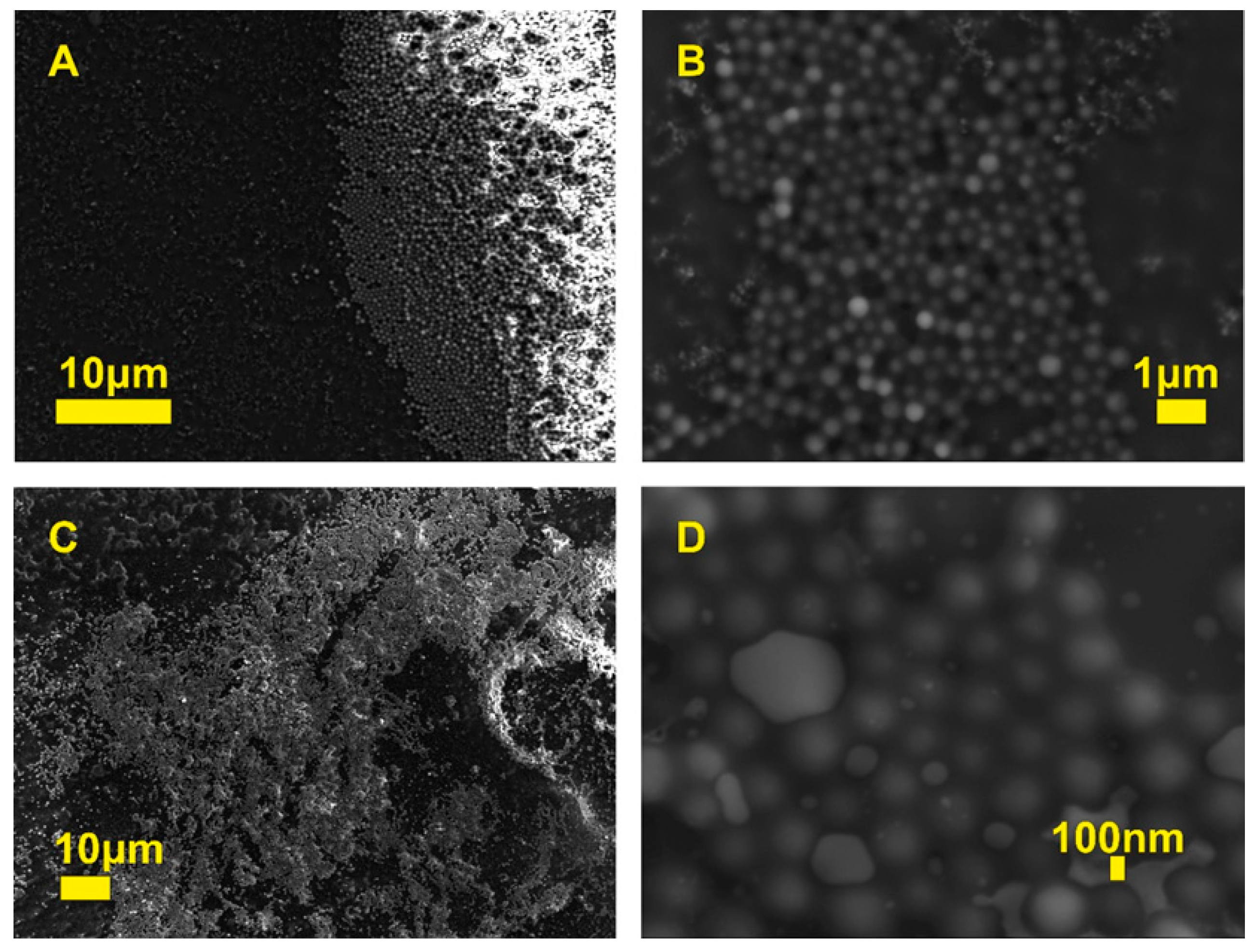 Molecules 25 02013 g003 Molecules 25 02013 g003