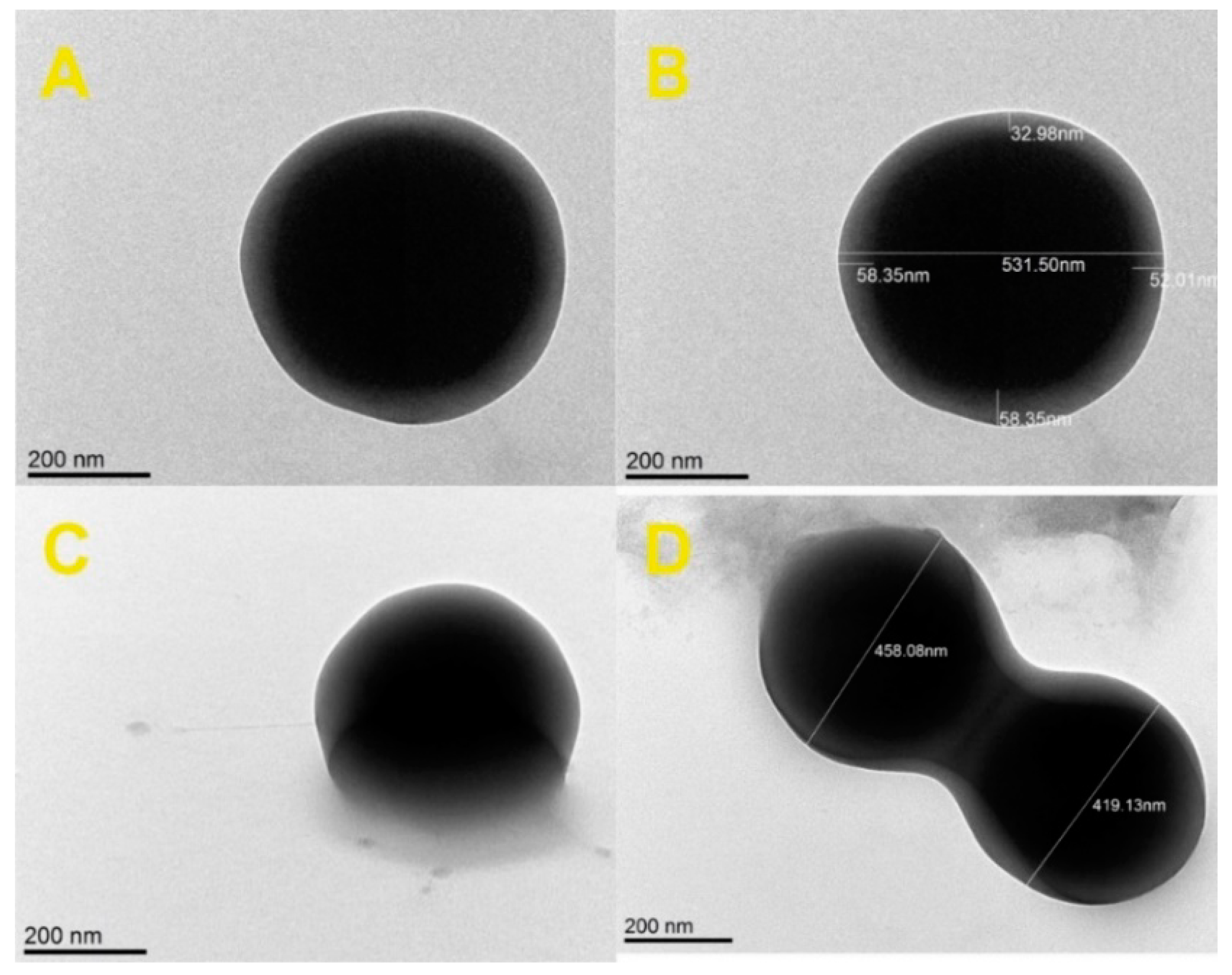 Molecules 25 02013 g004 Molecules 25 02013 g004