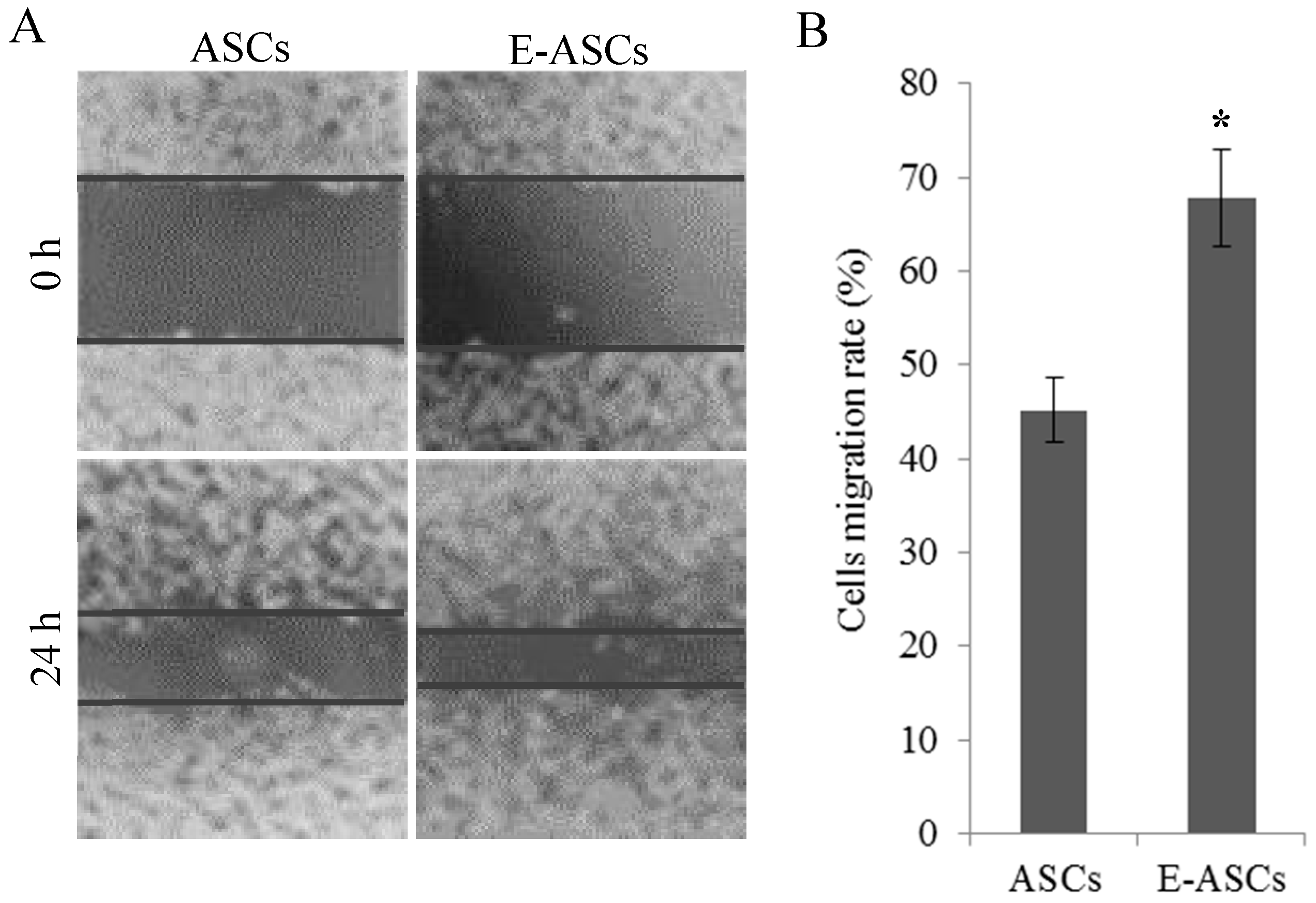 Molecules 25 02020 g002