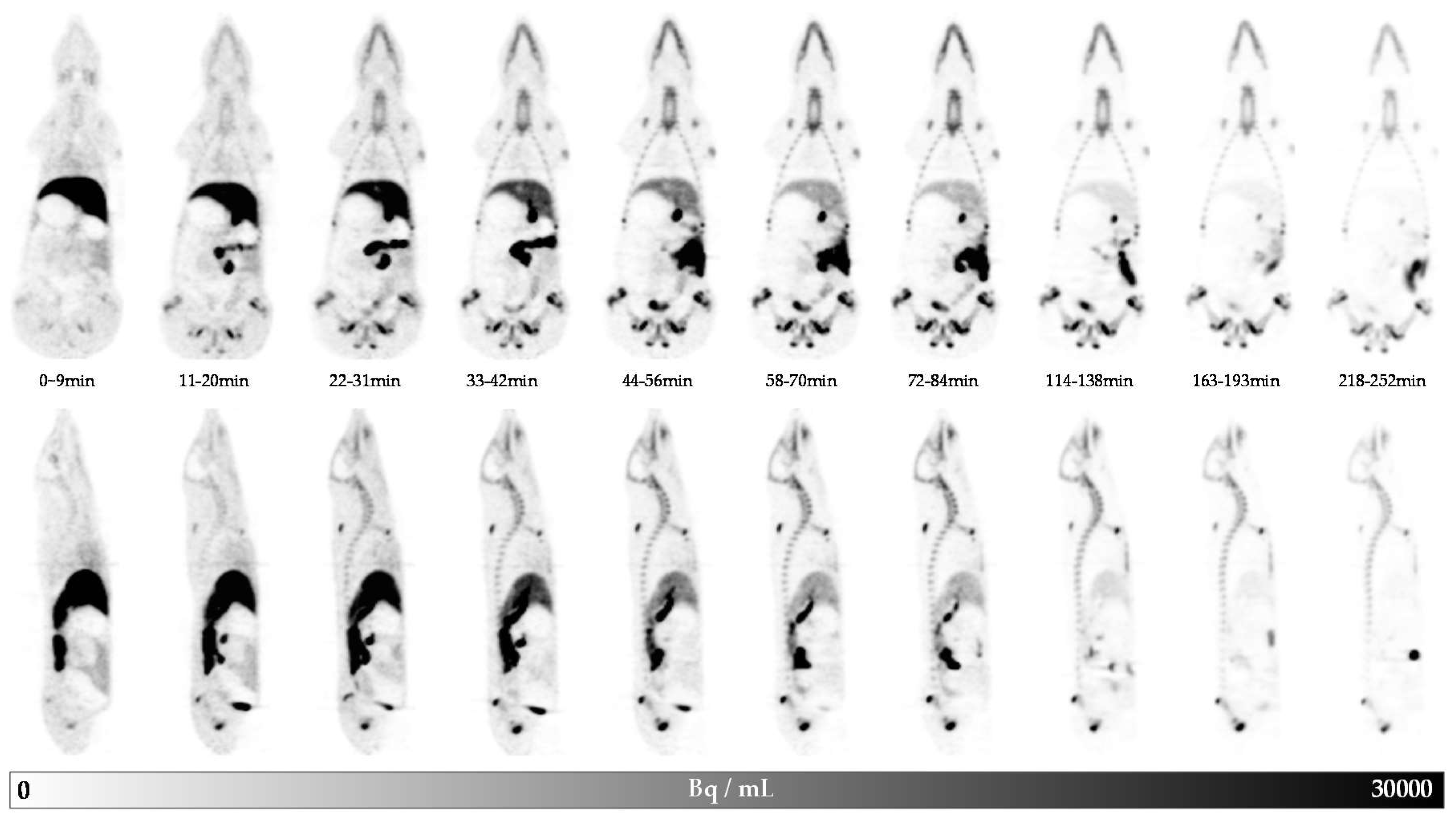 Molecules 25 02024 g002