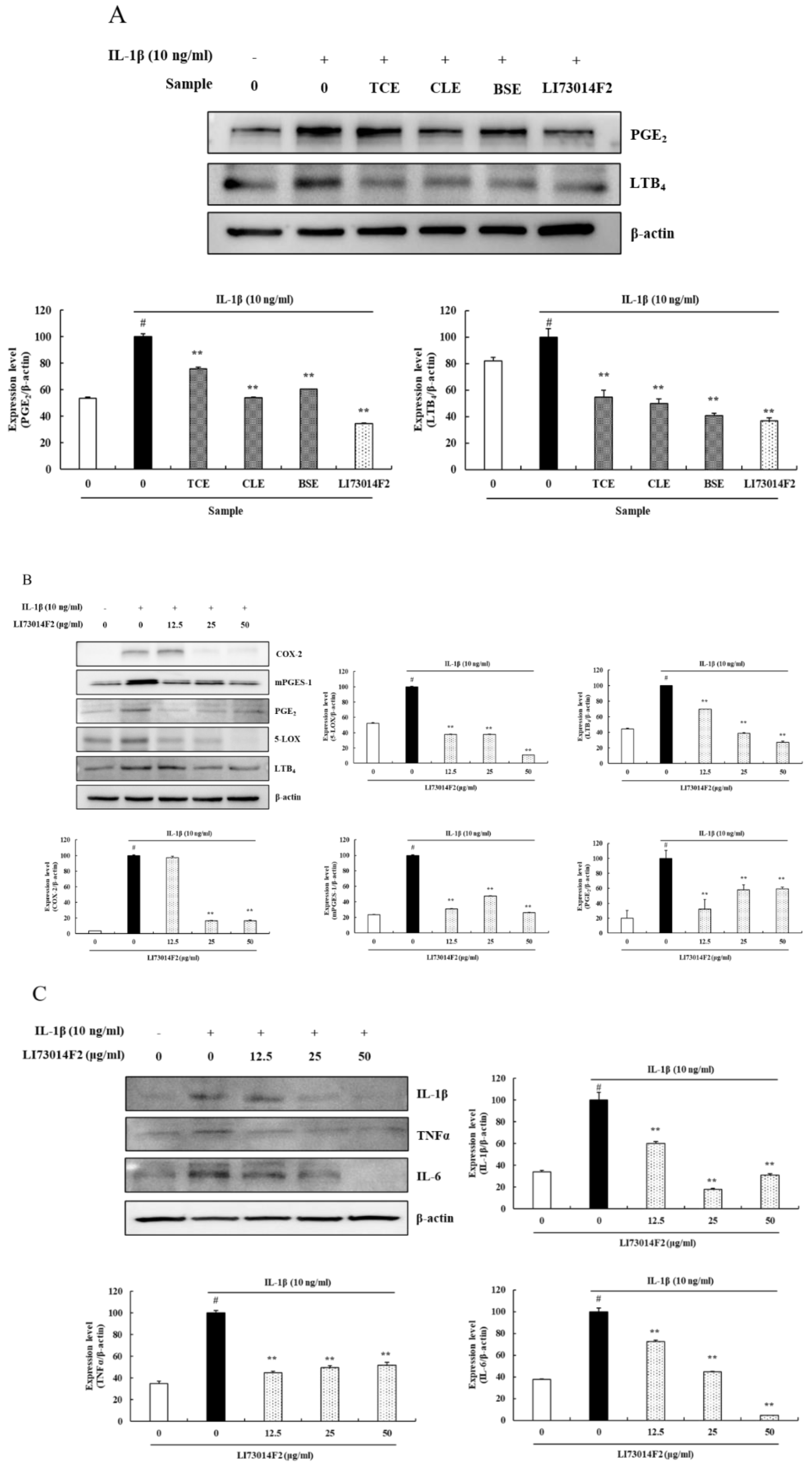 Molecules 25 02033 g002