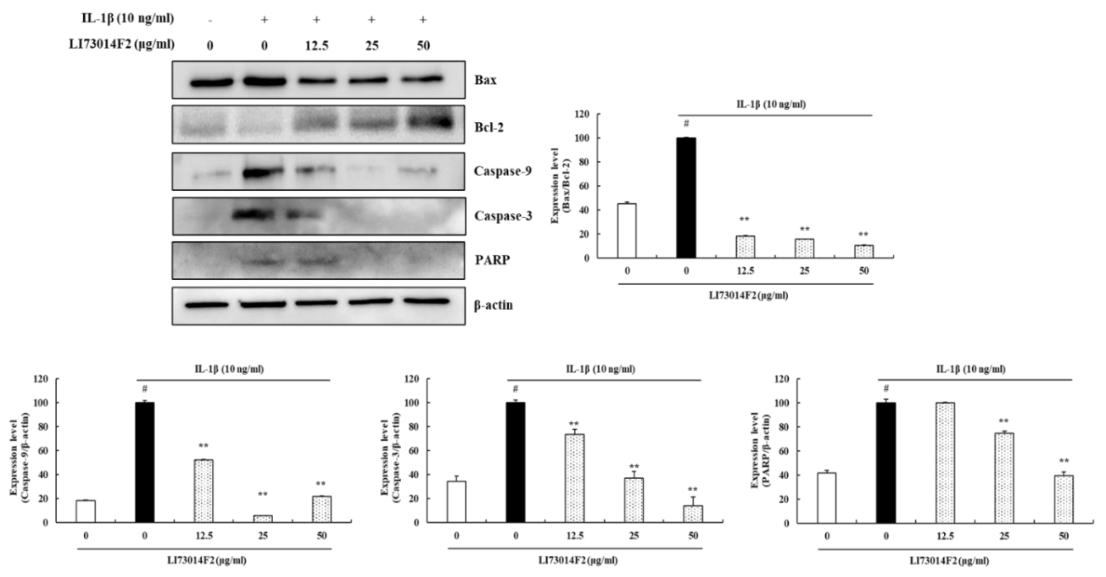 Molecules 25 02033 g004